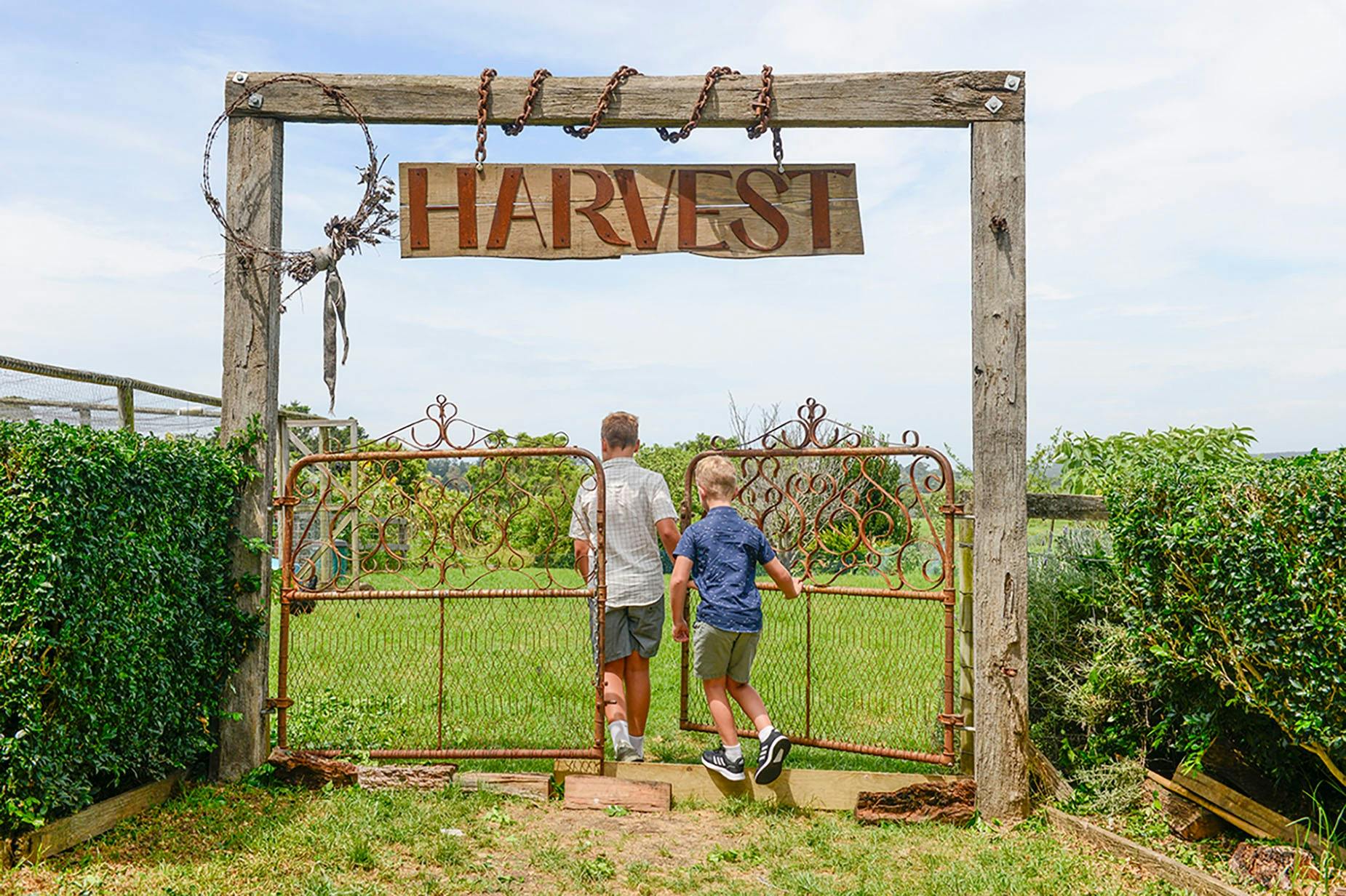 Harvest Milton
