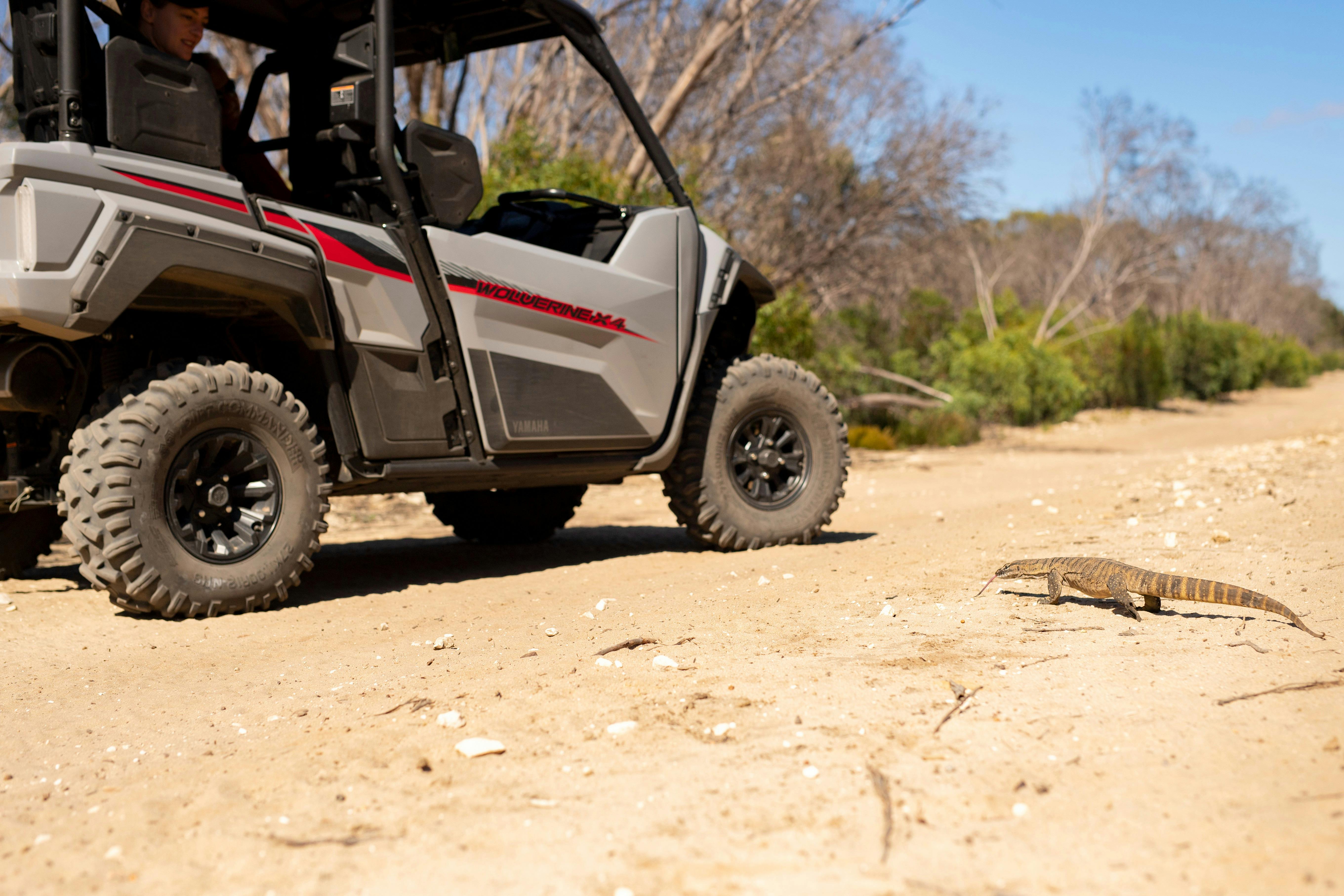 Quad_Bike_Tour_Goana_Buggy_TourismAustralia