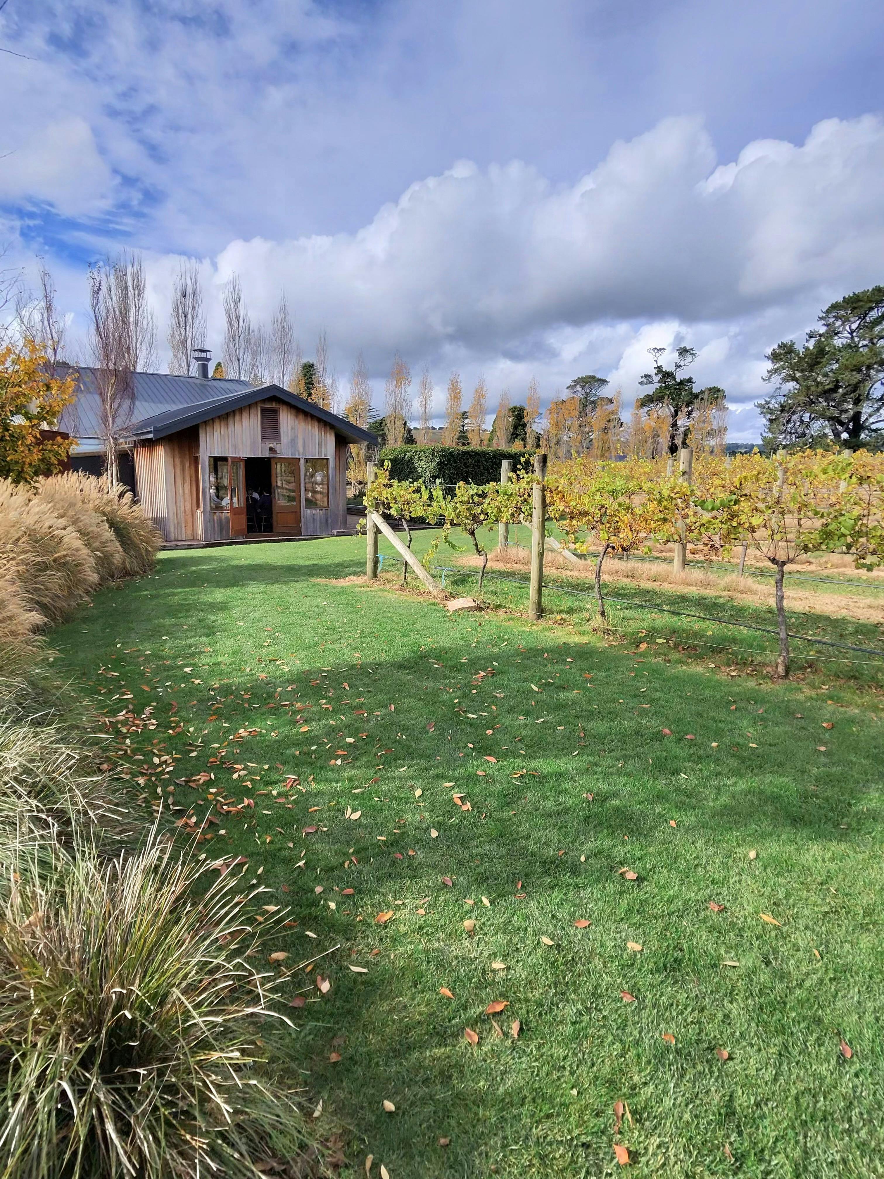 Autumn Winery in the Southern Highlands.