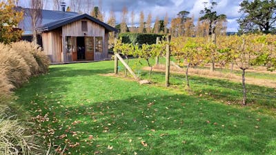 Autumn Winery in the Southern Highlands.