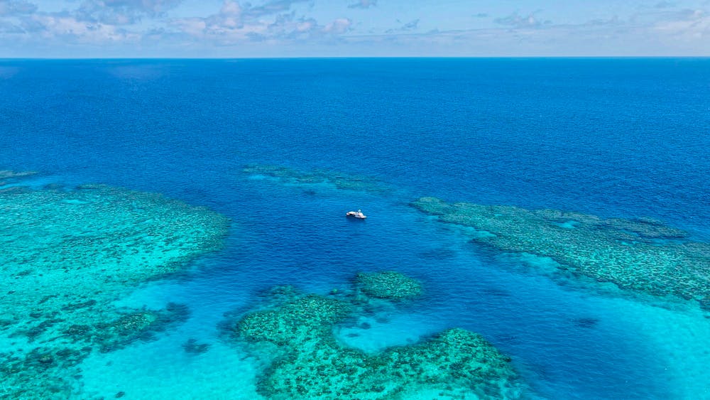 Pro Dive Magnetic Island
