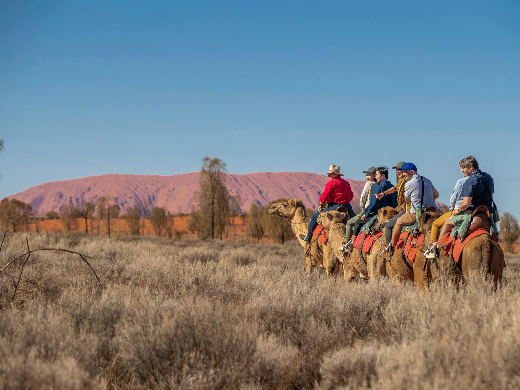 Group on a camel ride