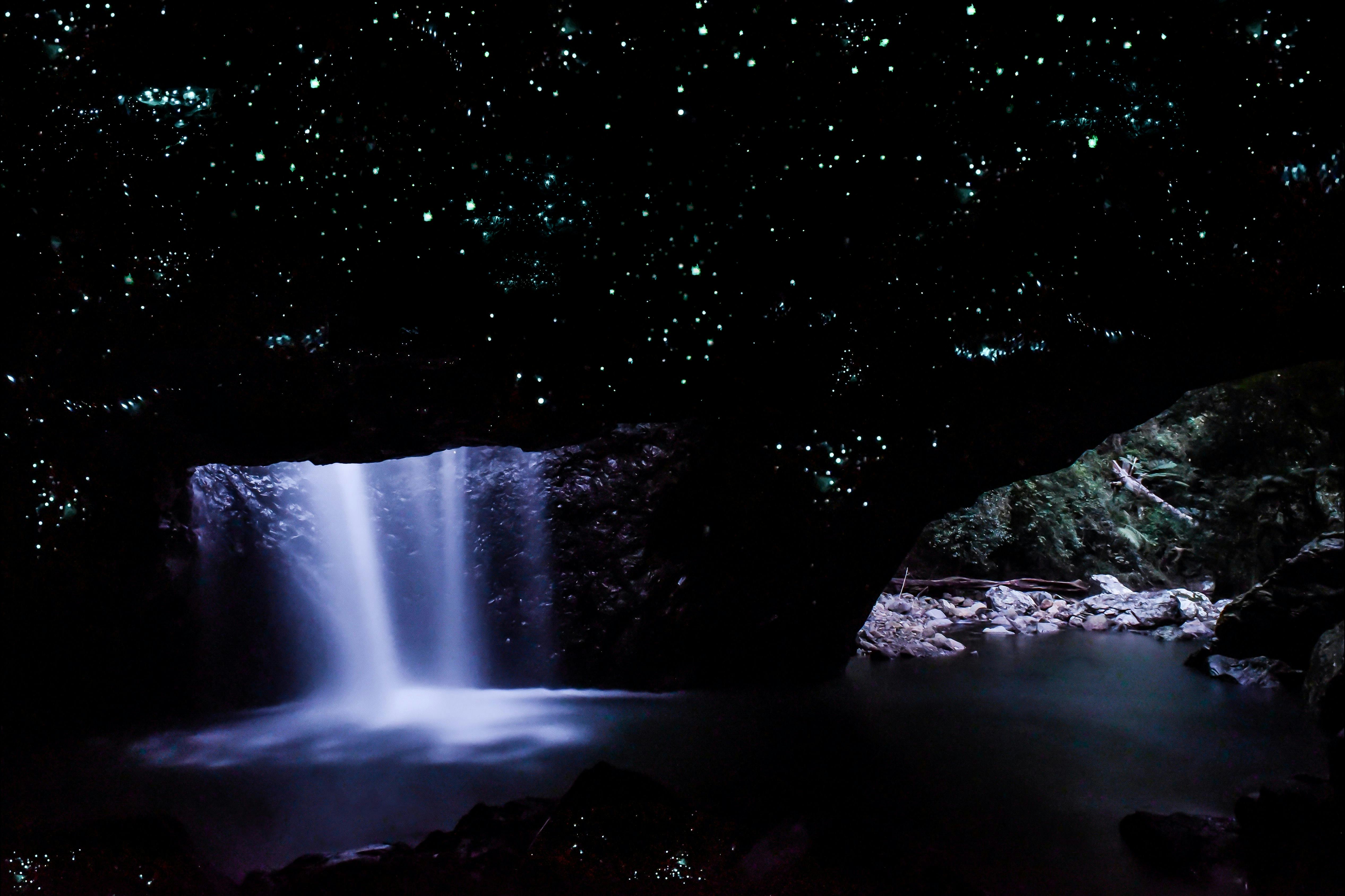 Natural Bridge Glow Worm Tour - Tour Only