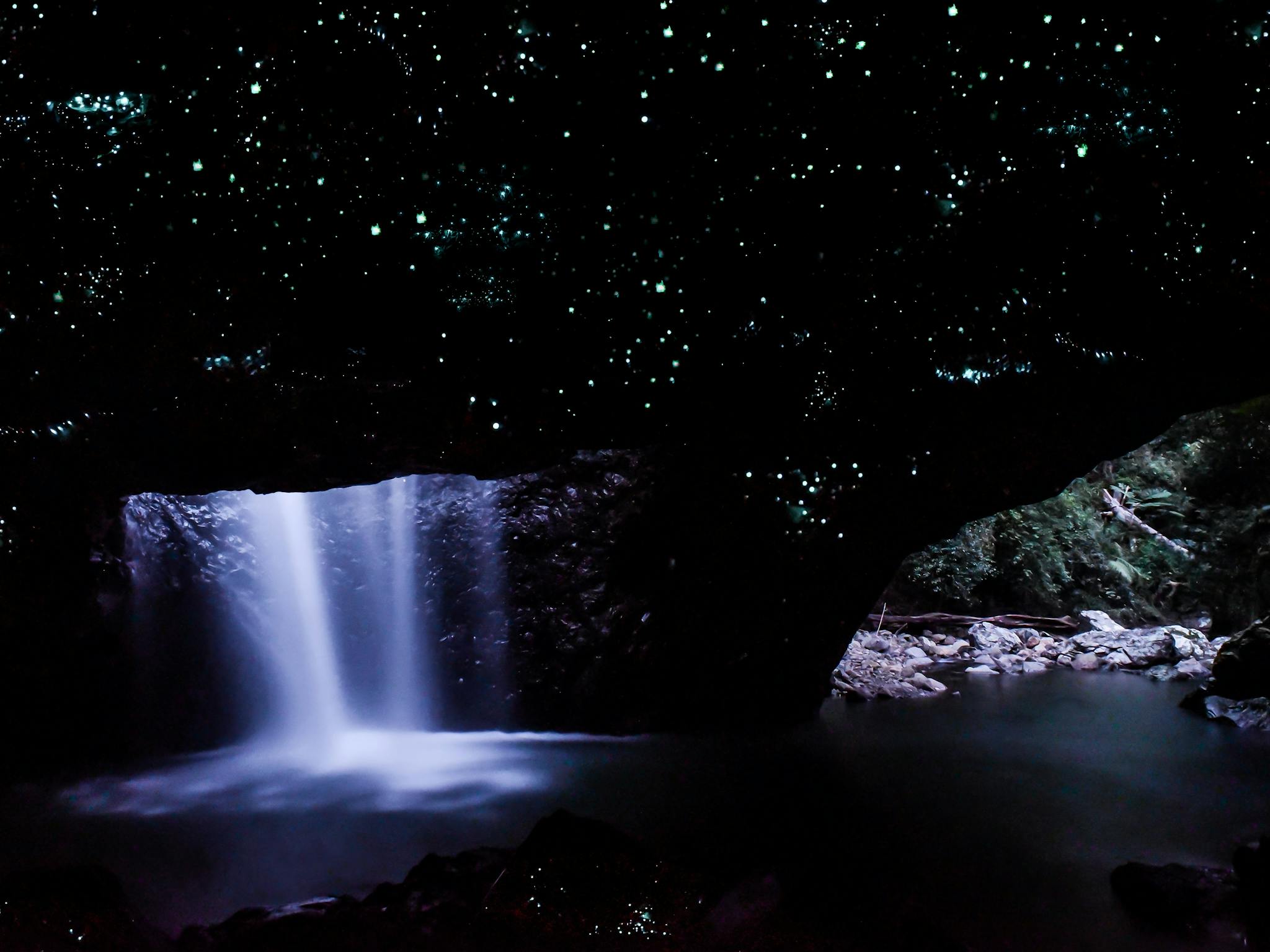 Unforgettable evening adventure in Natural Bridge, Springbrook. Unforgettable evening adventure in Natural Bridge, Springbrook.