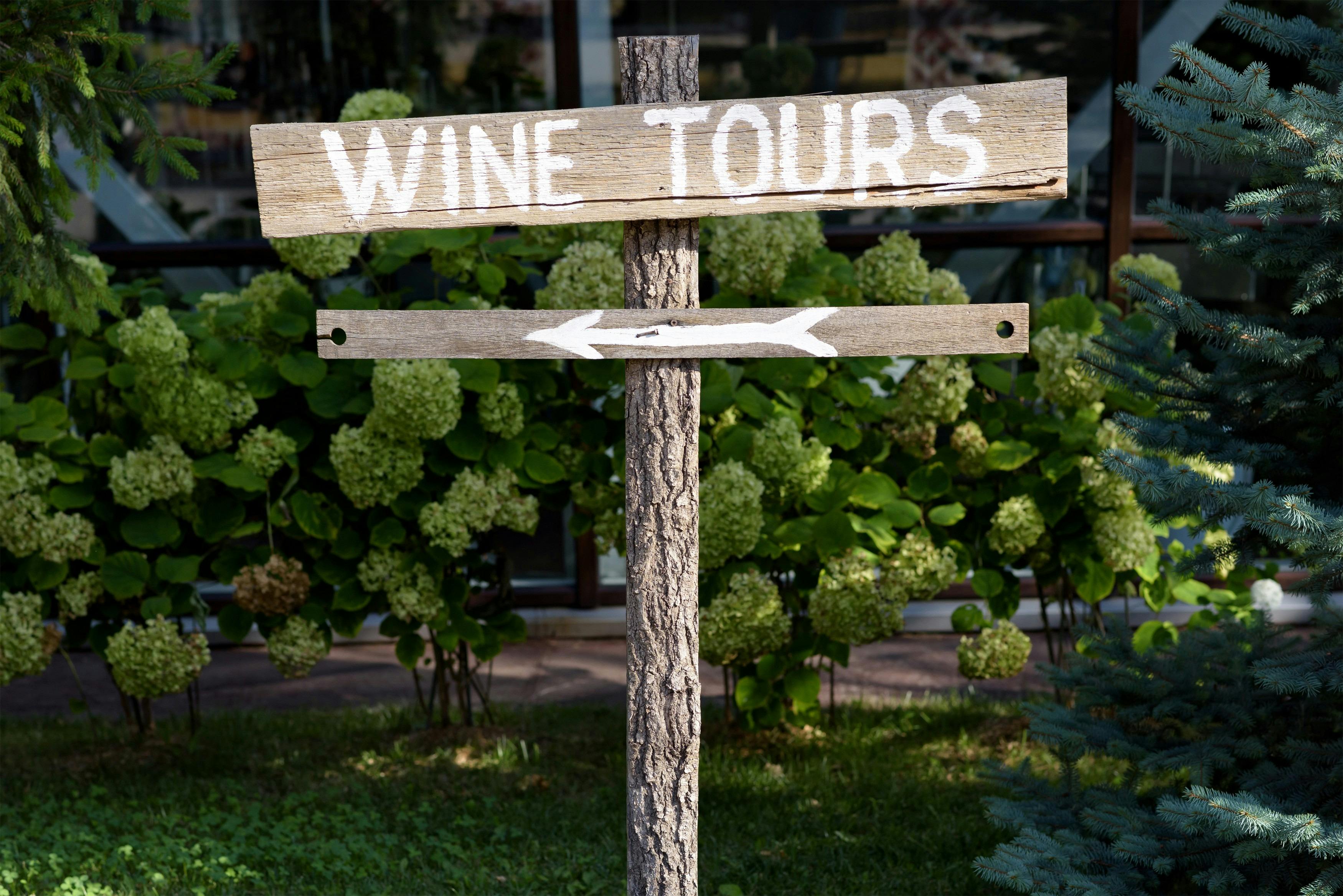 Winery 3