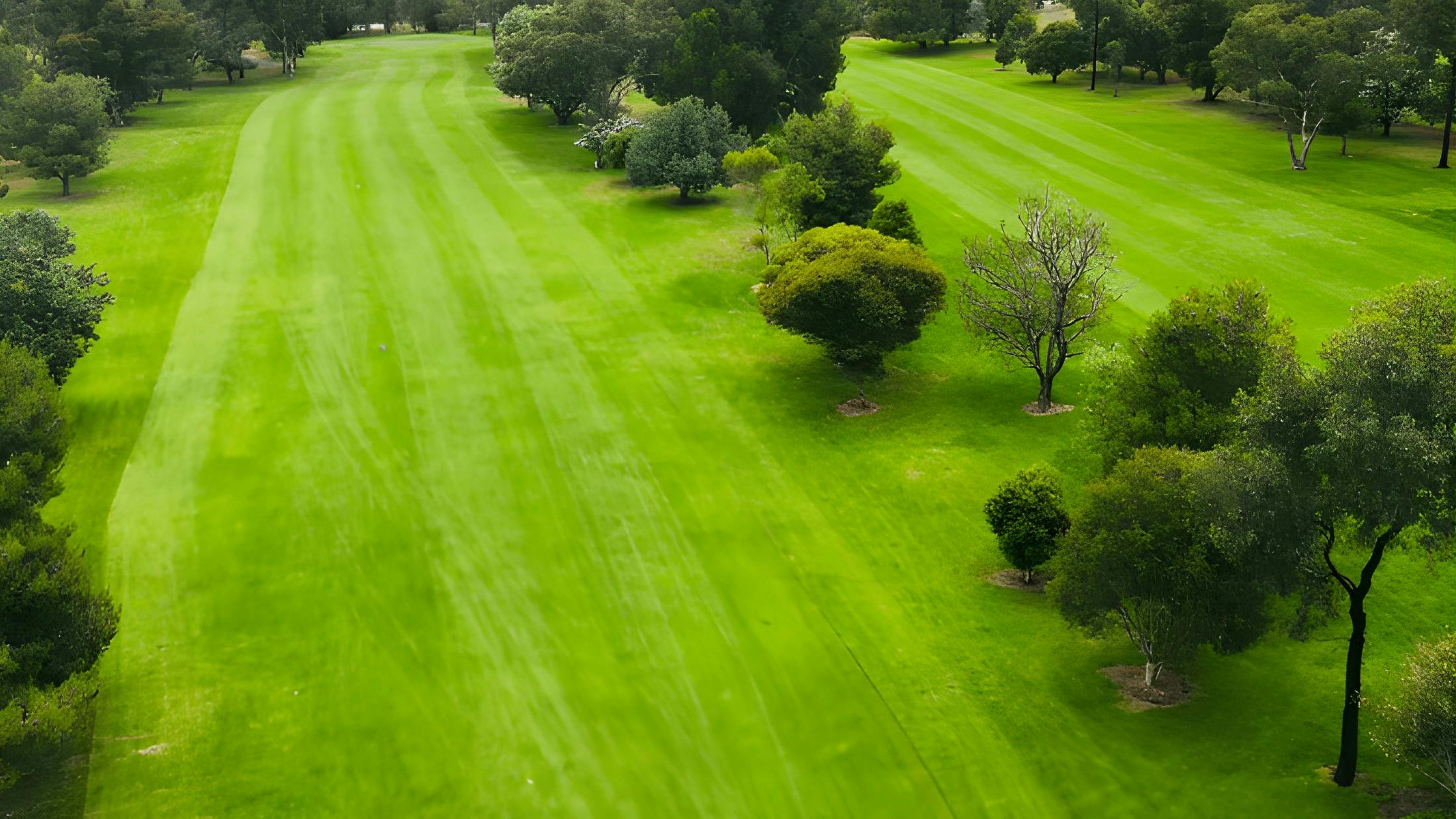 Griffith Golf Club lush kikuyu fairways