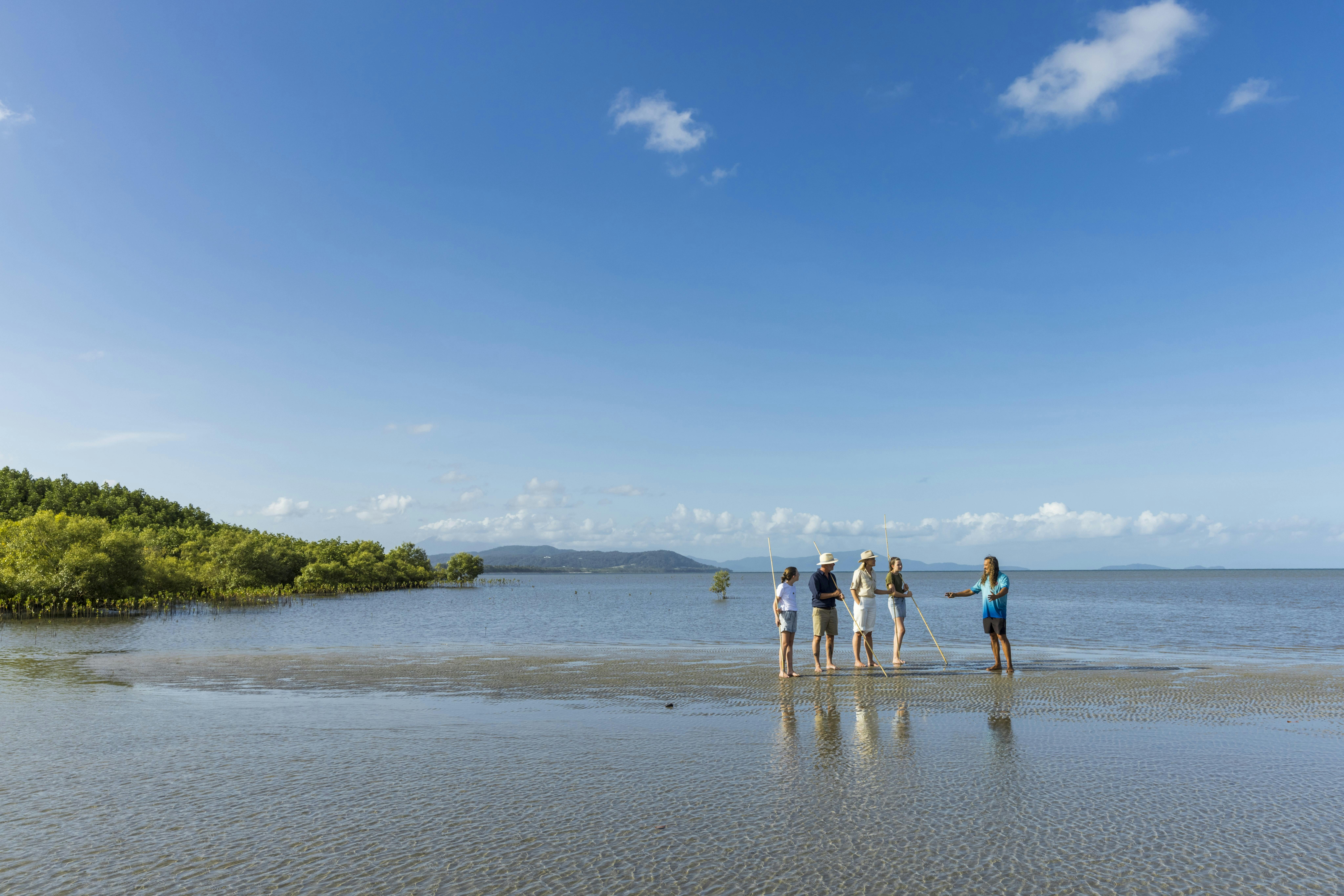 Daintree Dreaming