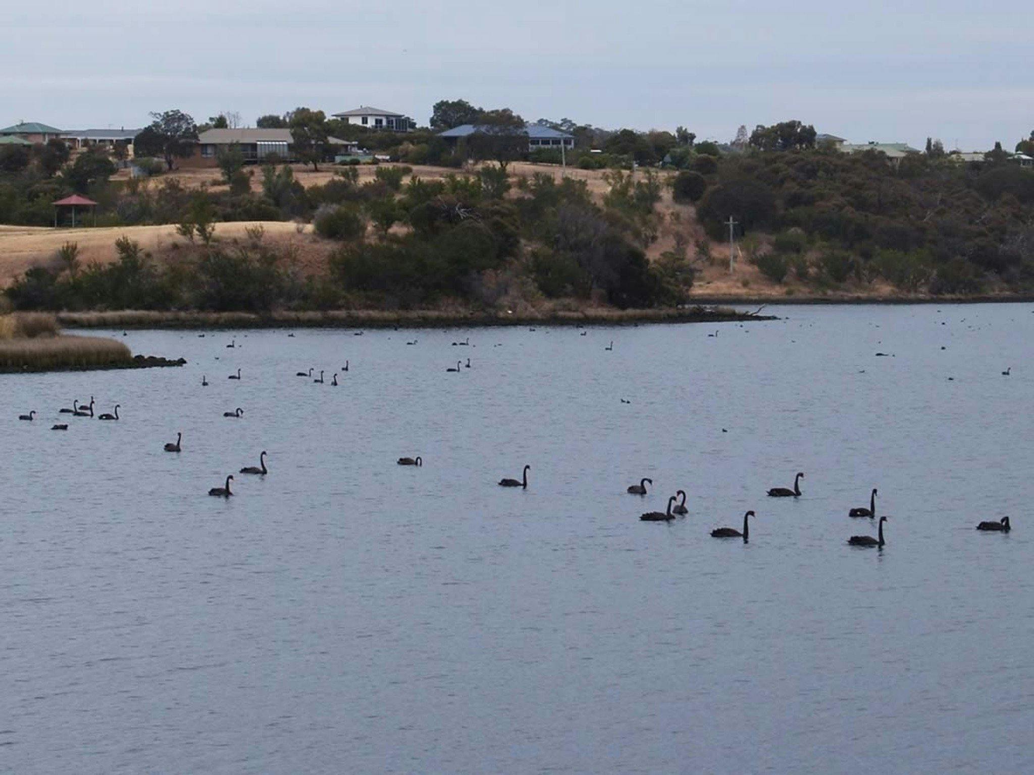 Bridgewater Foreshore Trail