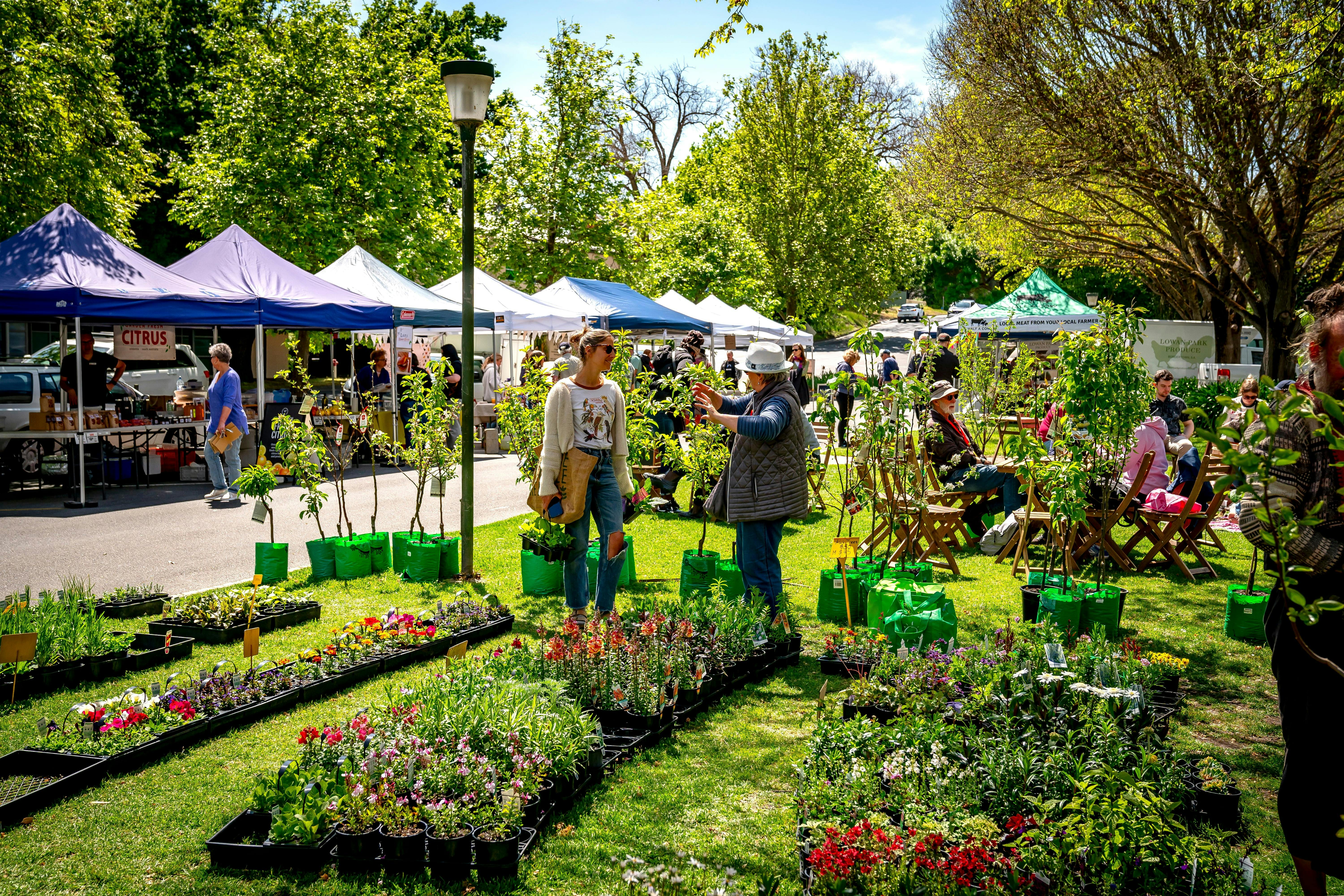 Adelaide Hills Farmers Markets