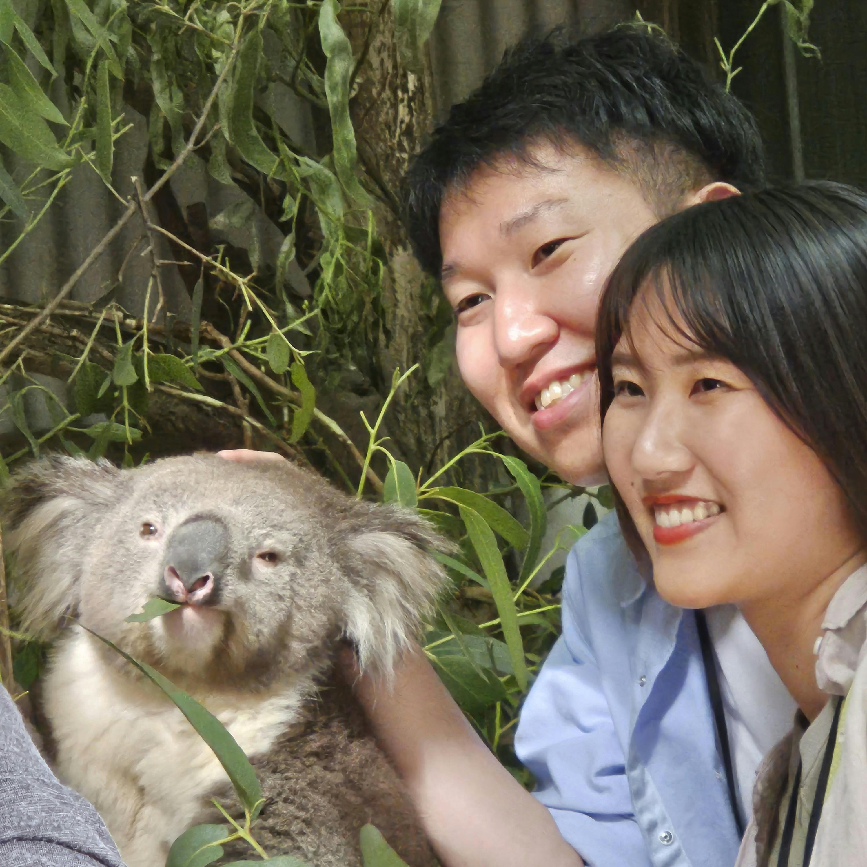 Fauna Australia Koala Experience