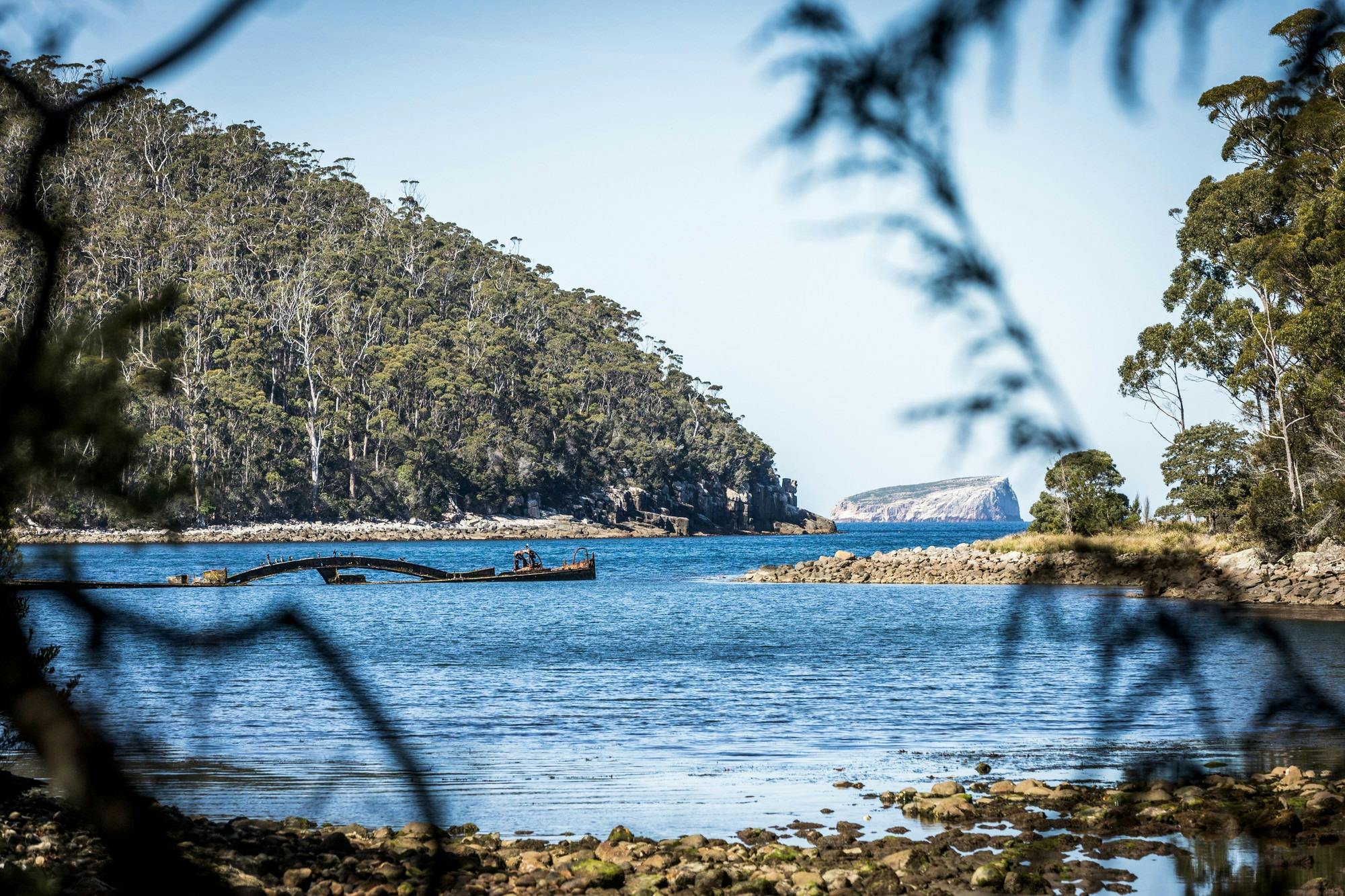 An image showing views from the forest to Canoe Bay and cliffs and coastline beyond