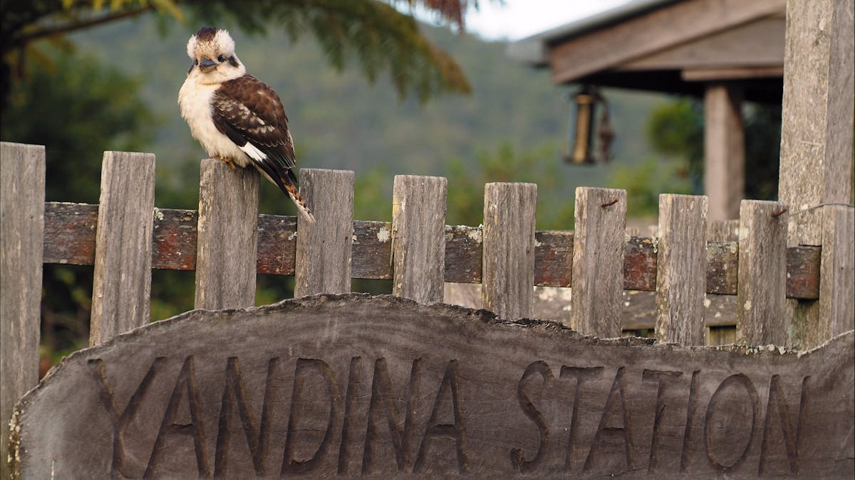 Yandina in the Sunshine Coast Hinterland