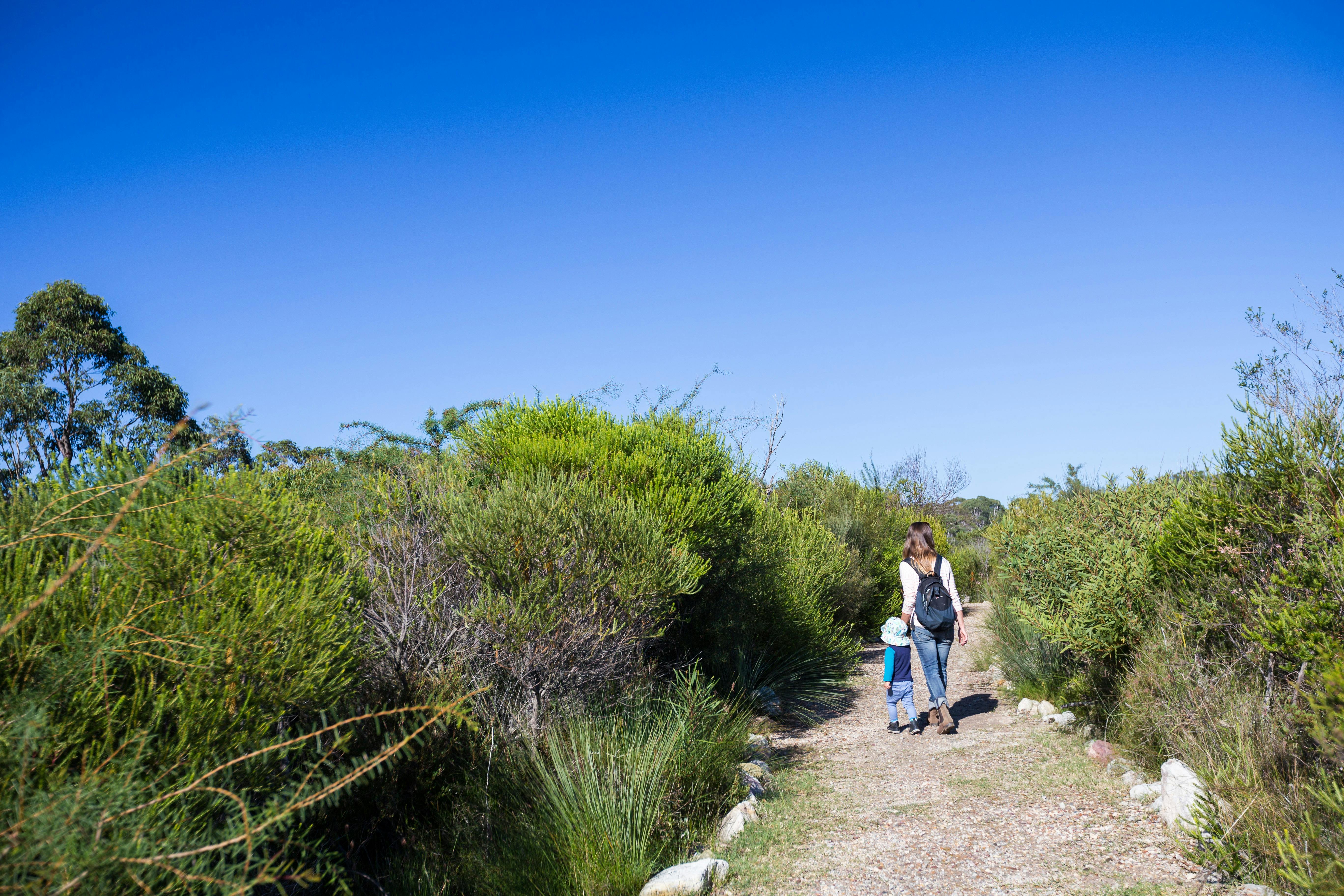 Booderee 國家公園：電報溪自然小徑