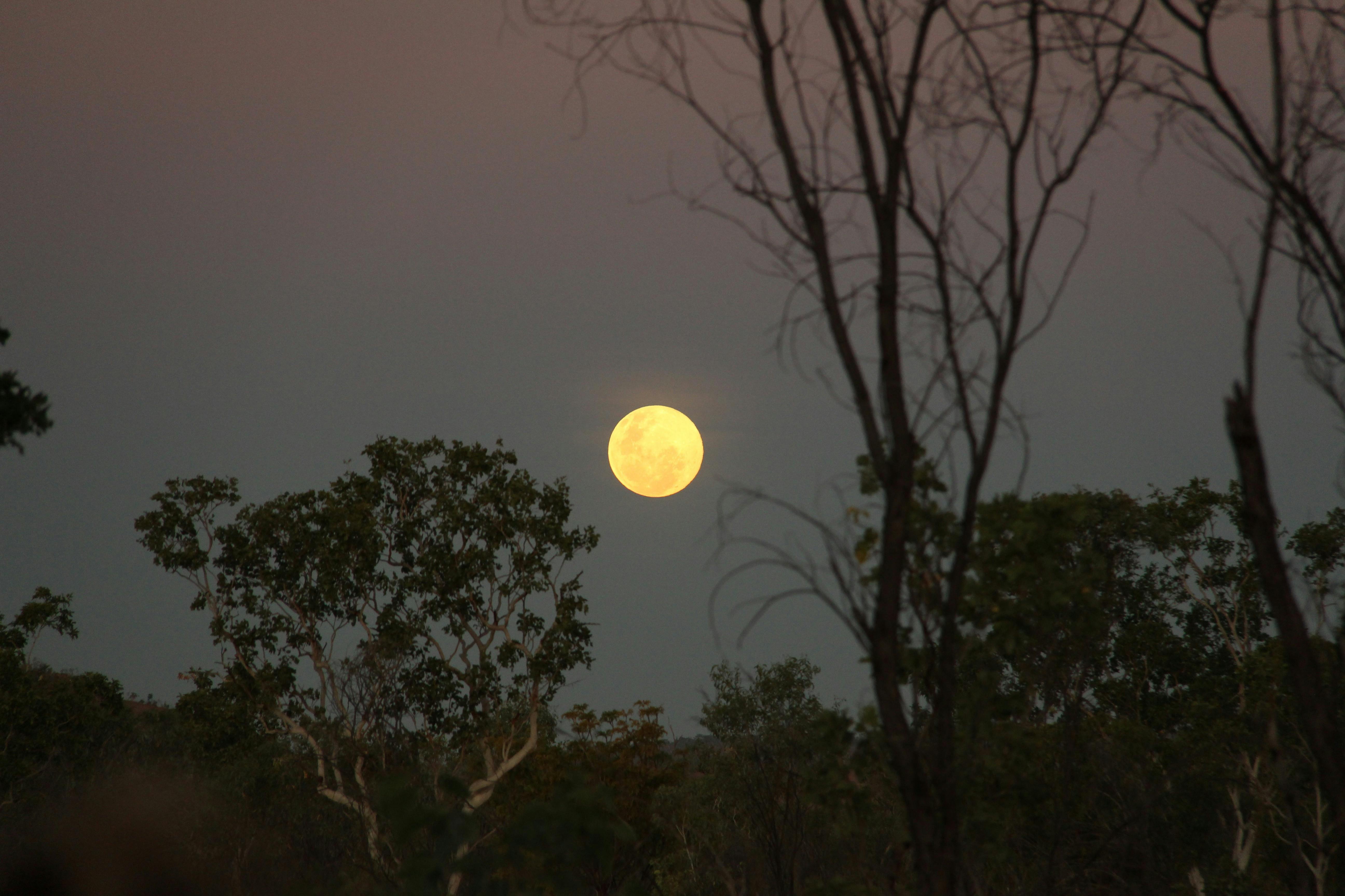 Adventure Wild Kimberley Tours, Broome, Western Australia