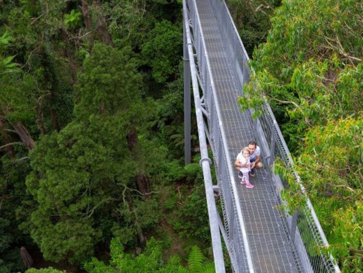 Treetop Walk at Illawarra Fly