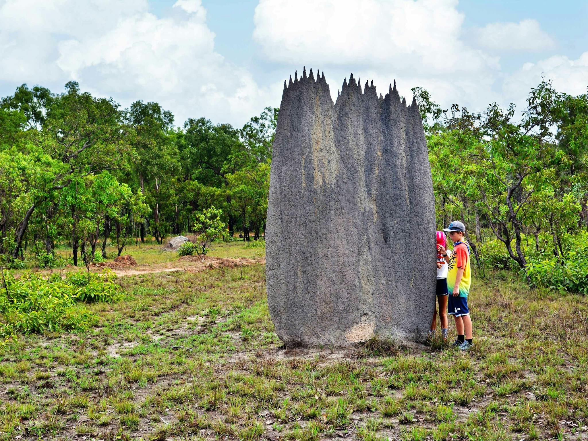 The strangely appearing Magnetic Termite mounds are always a thing to ponder.