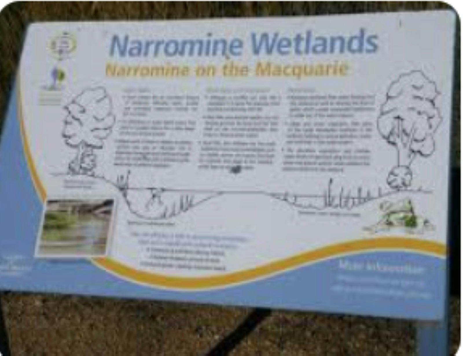 Narromine Wetlands