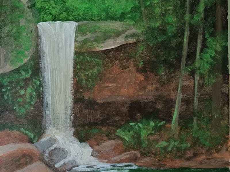 Image for Curtis Falls Tamborine Mountain Painting Class