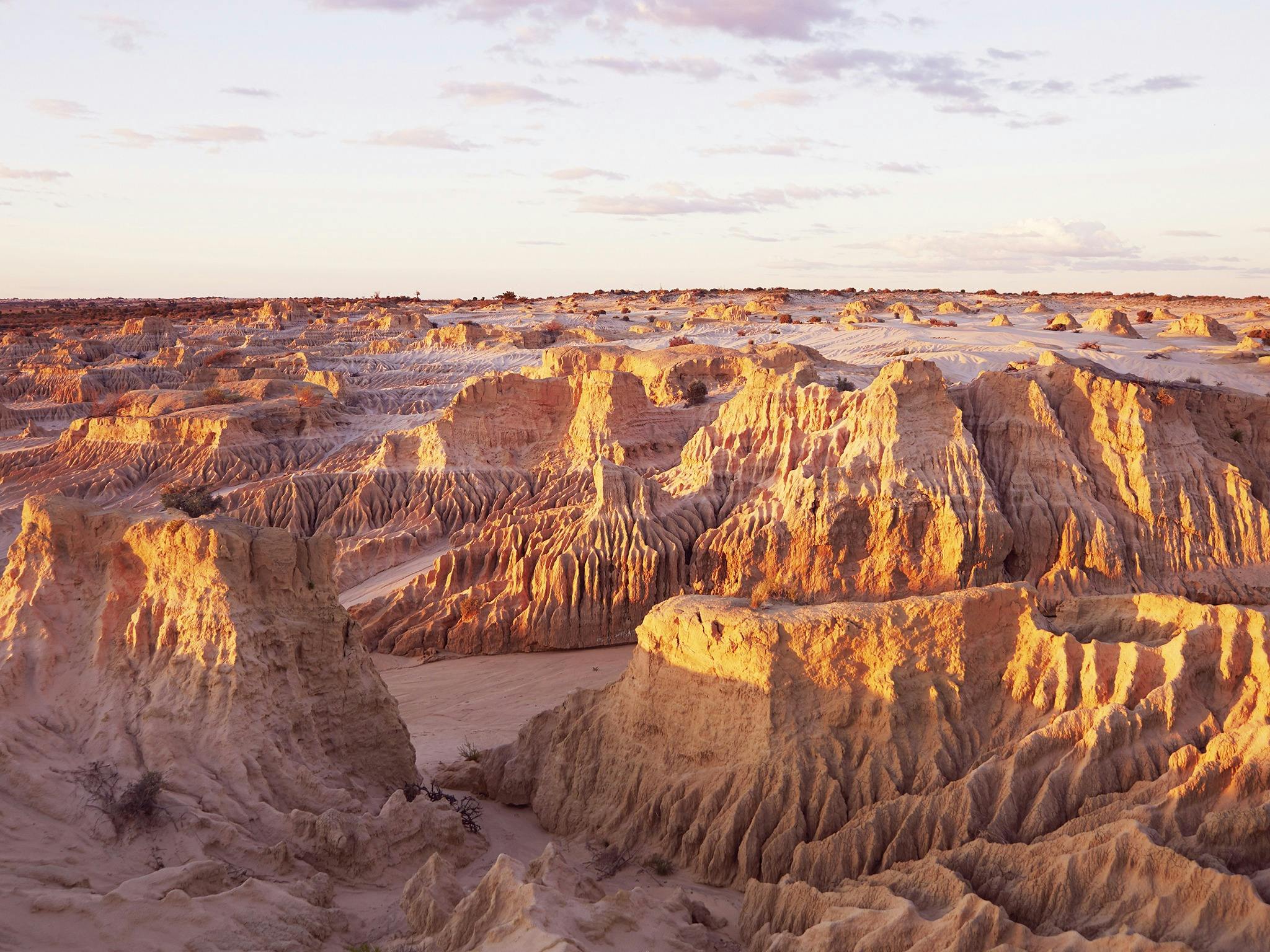 아웃백 호라이즌(5일)