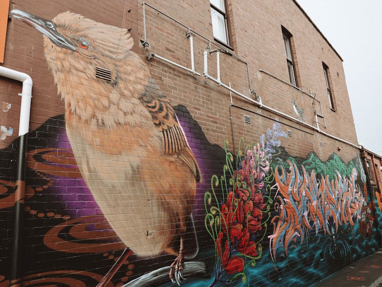 Visit the Macleay Valley Art Trail Ash Johnston Golden-headed Cisticola Mural