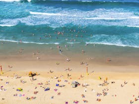 Surfers Paradise Beach