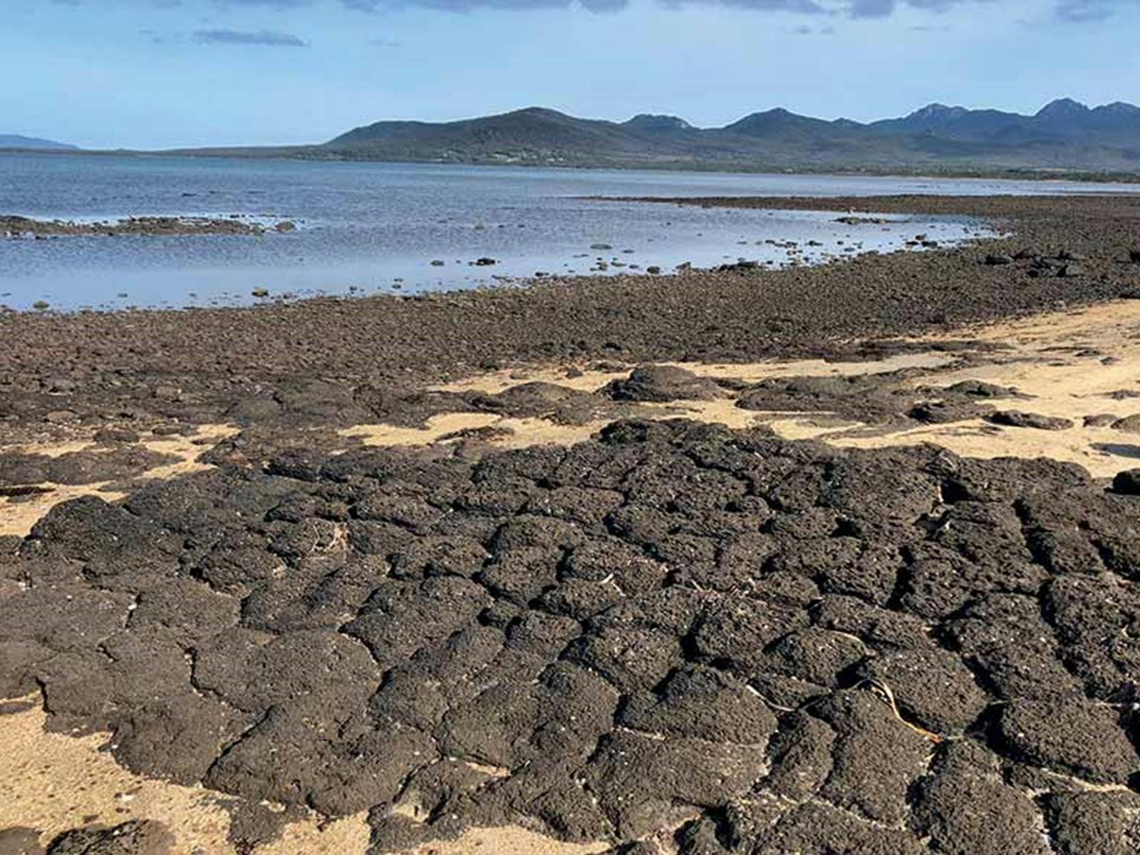 Petrifaction Bay