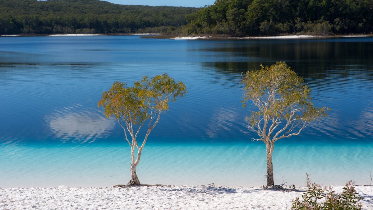 Photo of lake mckenzie on fraser island showing white sand beach and beautiful blue waters edge.