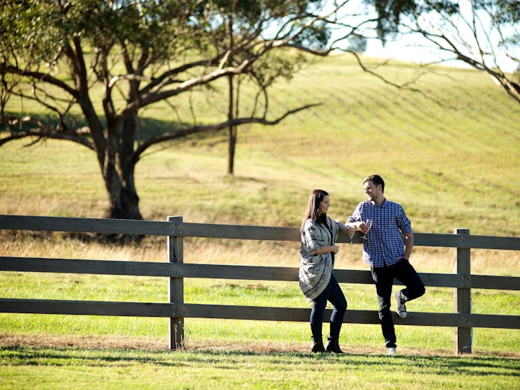 Razorback Ridge Winery