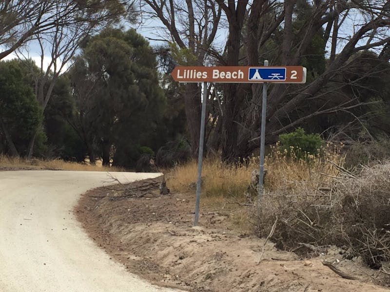 Lillies Bay Camping Ground