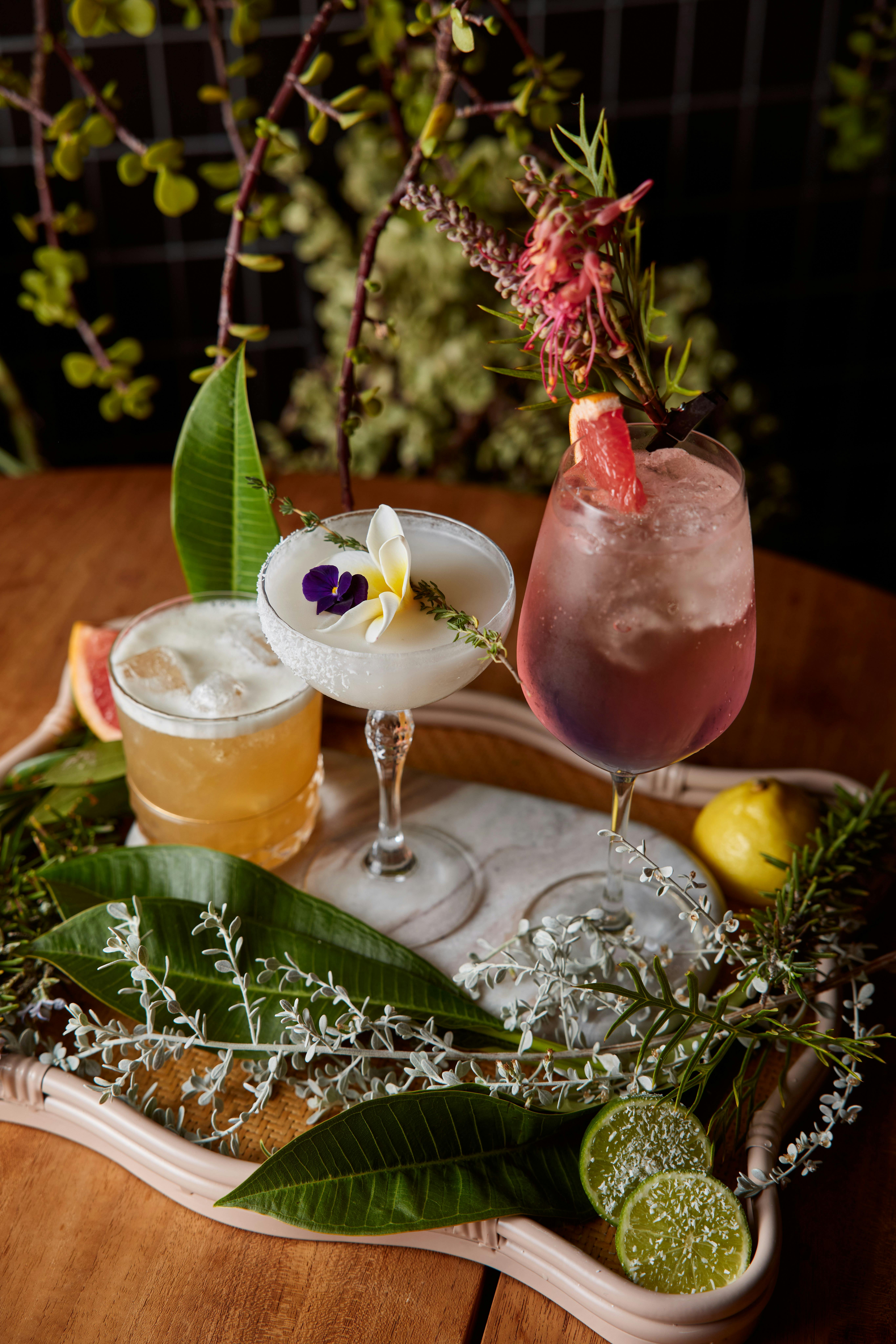 Plateful Perth Promotion