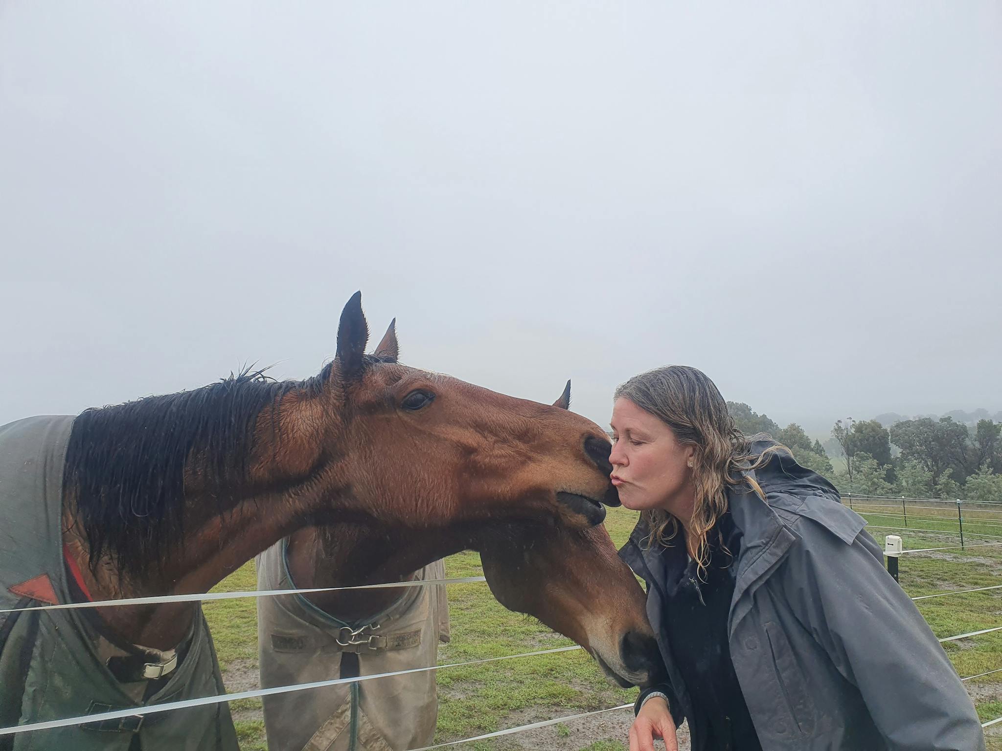 Brown horse with black mane gently kissing a woman's face