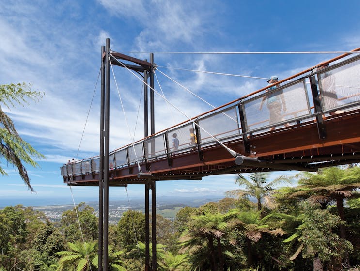 The Forest Sky Pier at Sealy Lookout