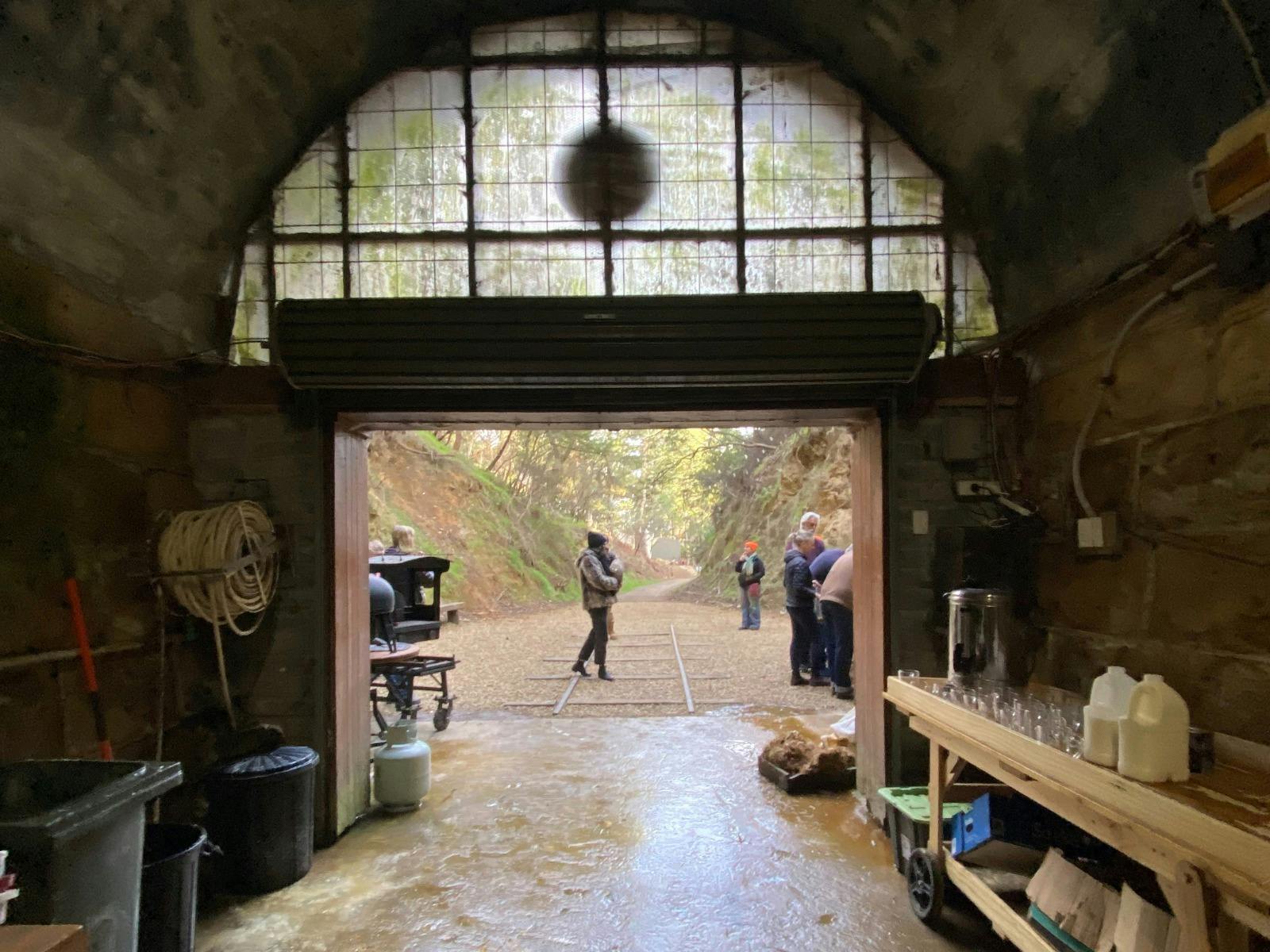 A woman walks in front of the opening of an old railway tunnel, now used to grow mushrooms