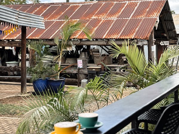 Coffee in the Museum