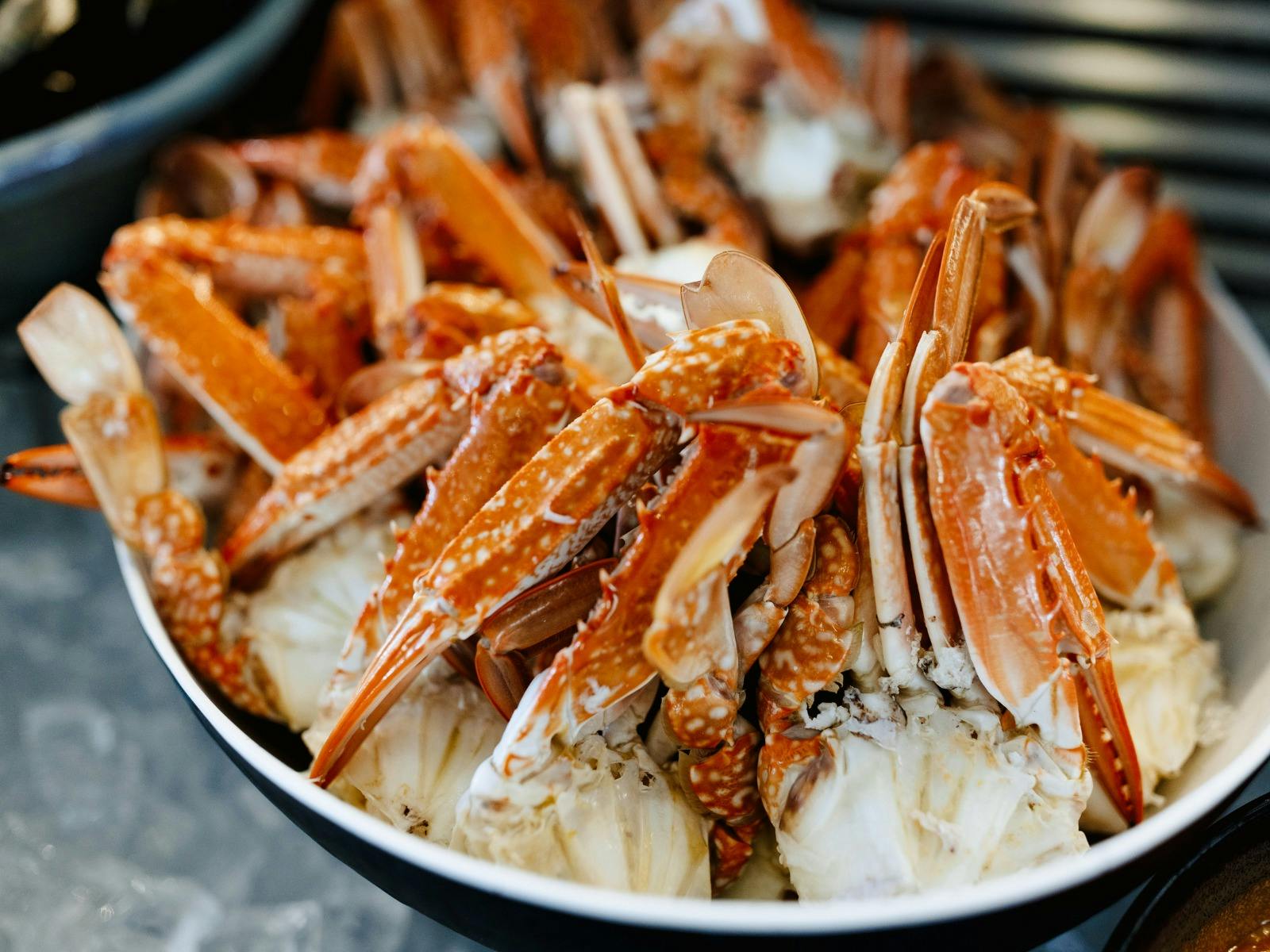 Cairns’ Best Seafood Buffet – August Special