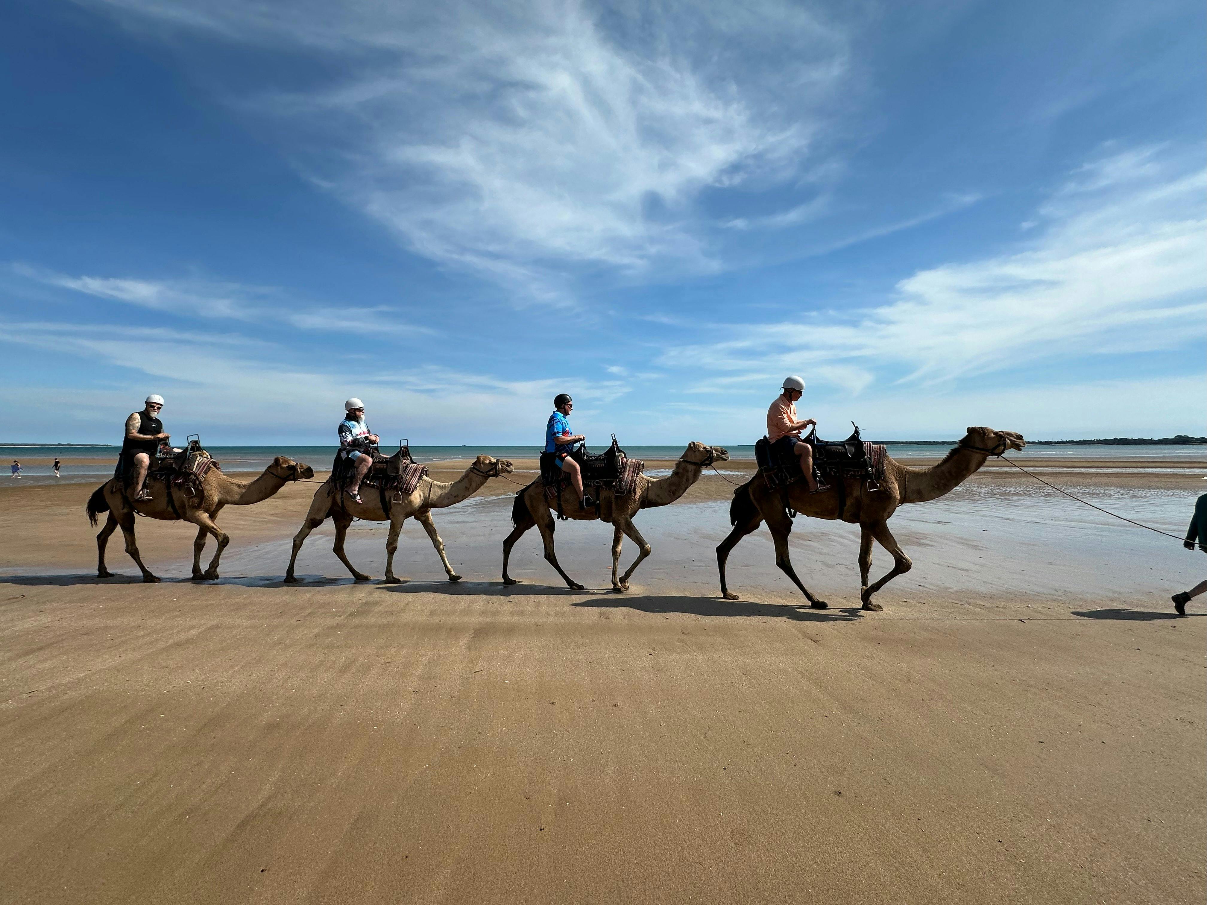 Camel train strolling along the wide open beach under a bright blue Darwin sky