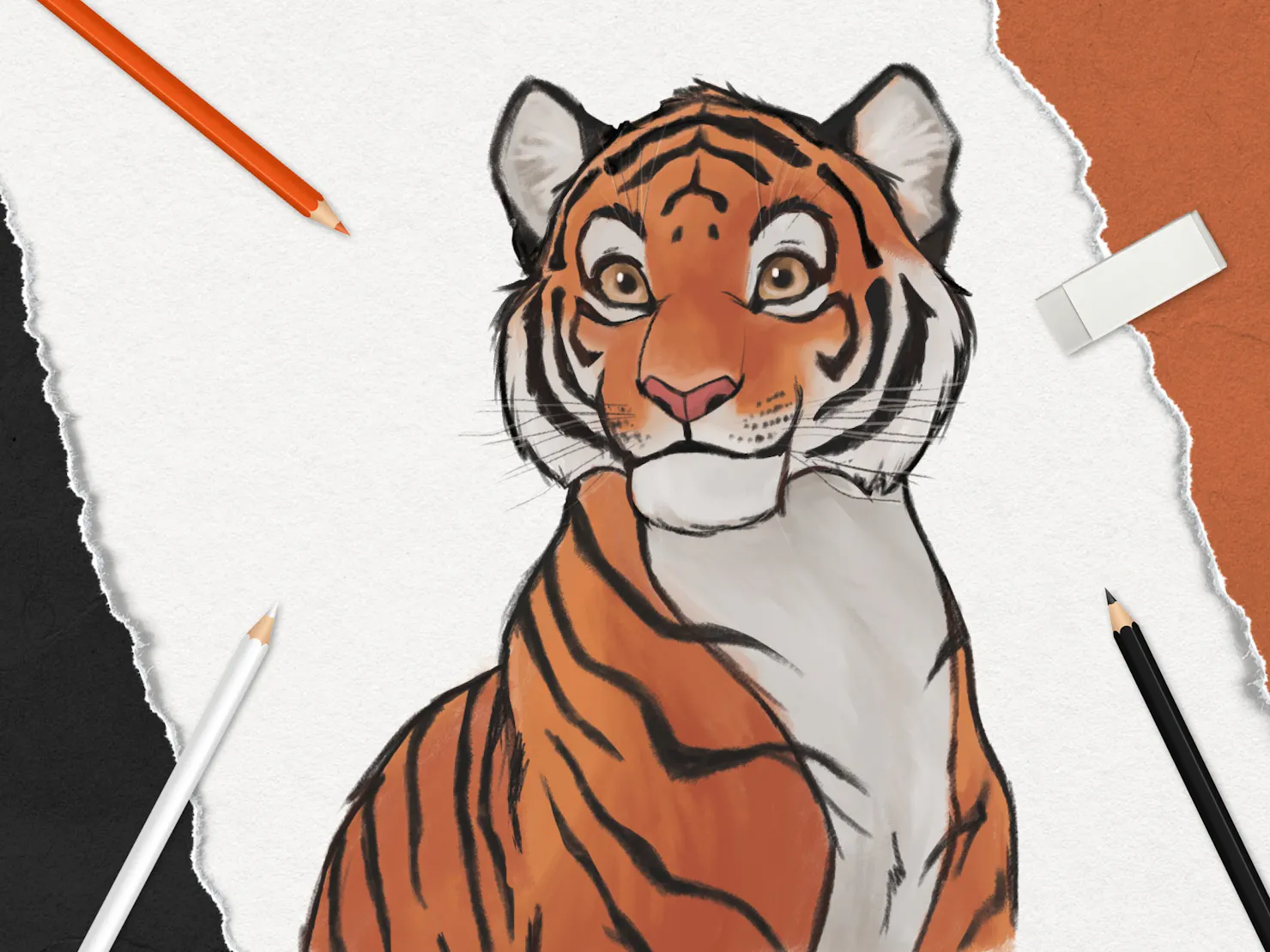 Drawing of tiger