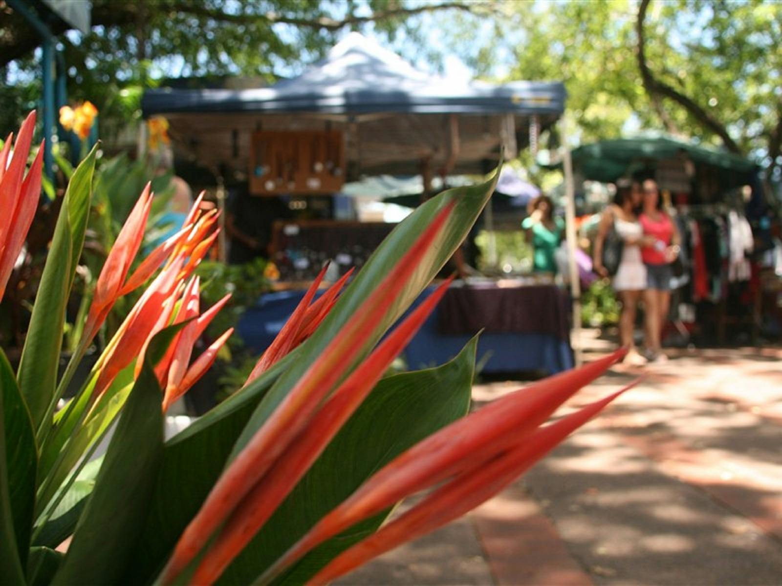 Nightcliff Markets