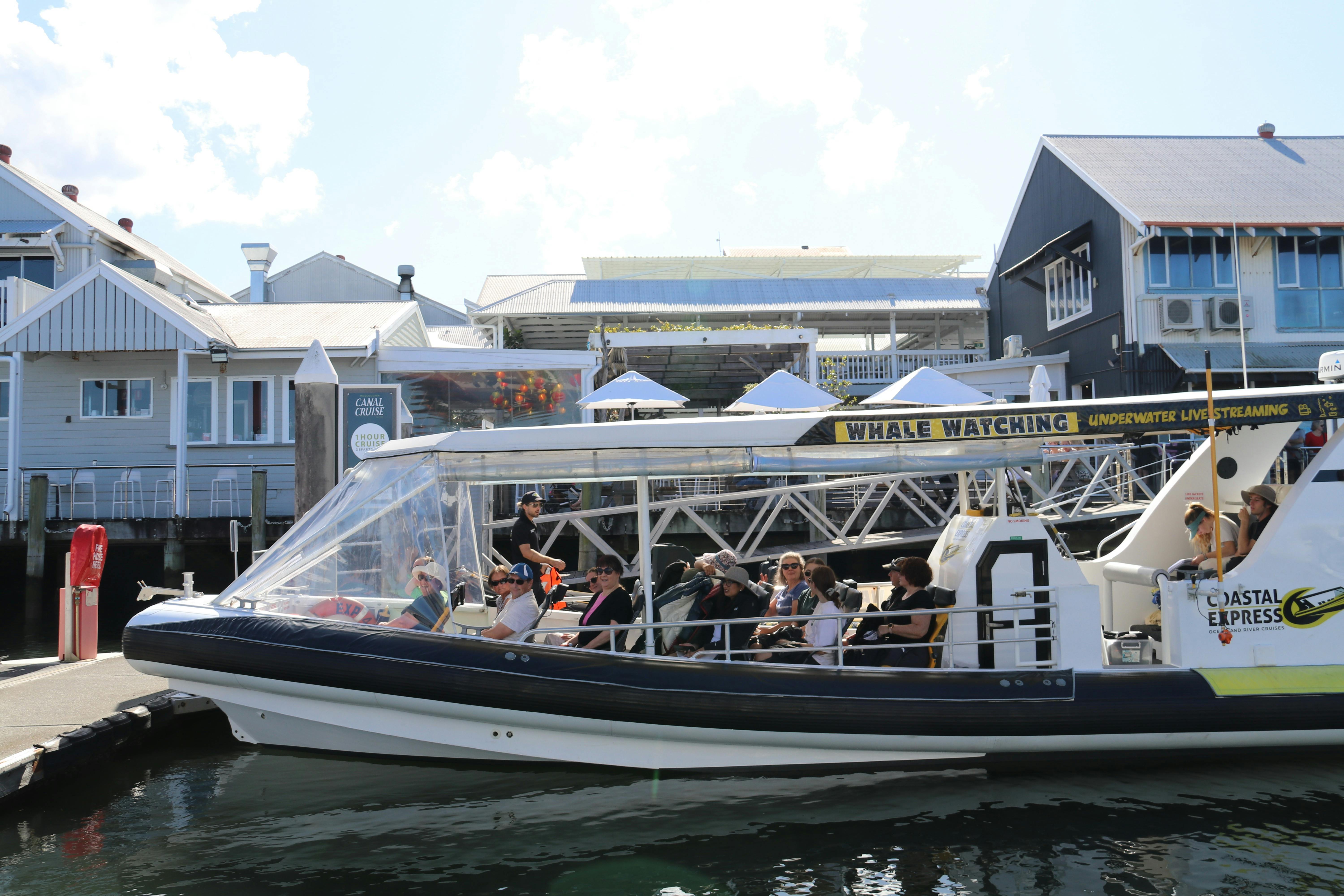 Mooloolaba Turtle Adventure