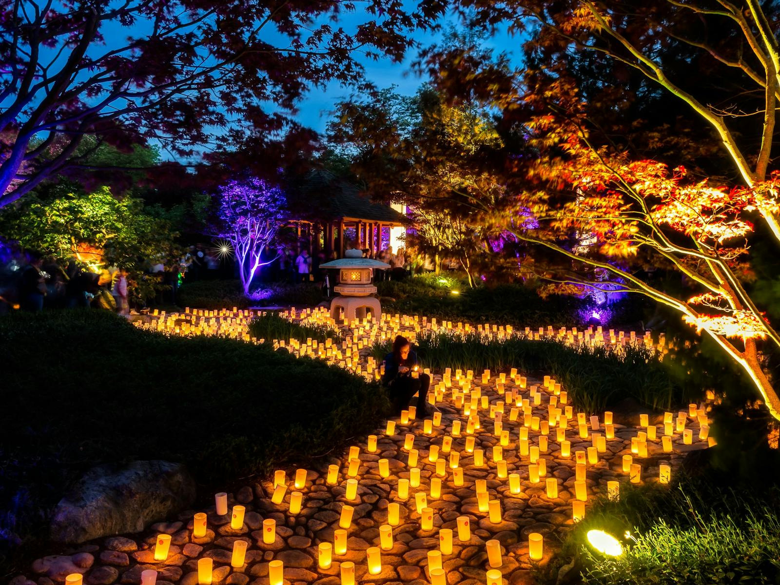 Image for Canberra Nara Candle Festival