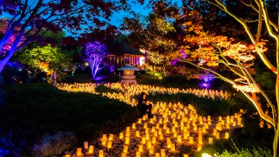 Canberra Nara Candle Festival