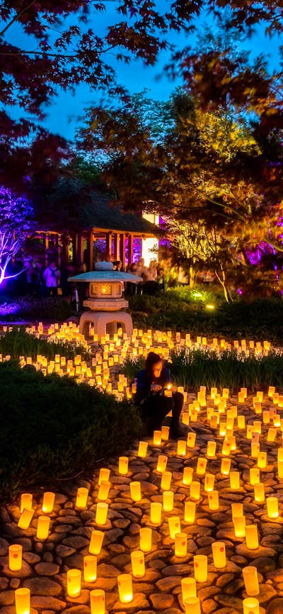 Canberra Nara Candle Festival
