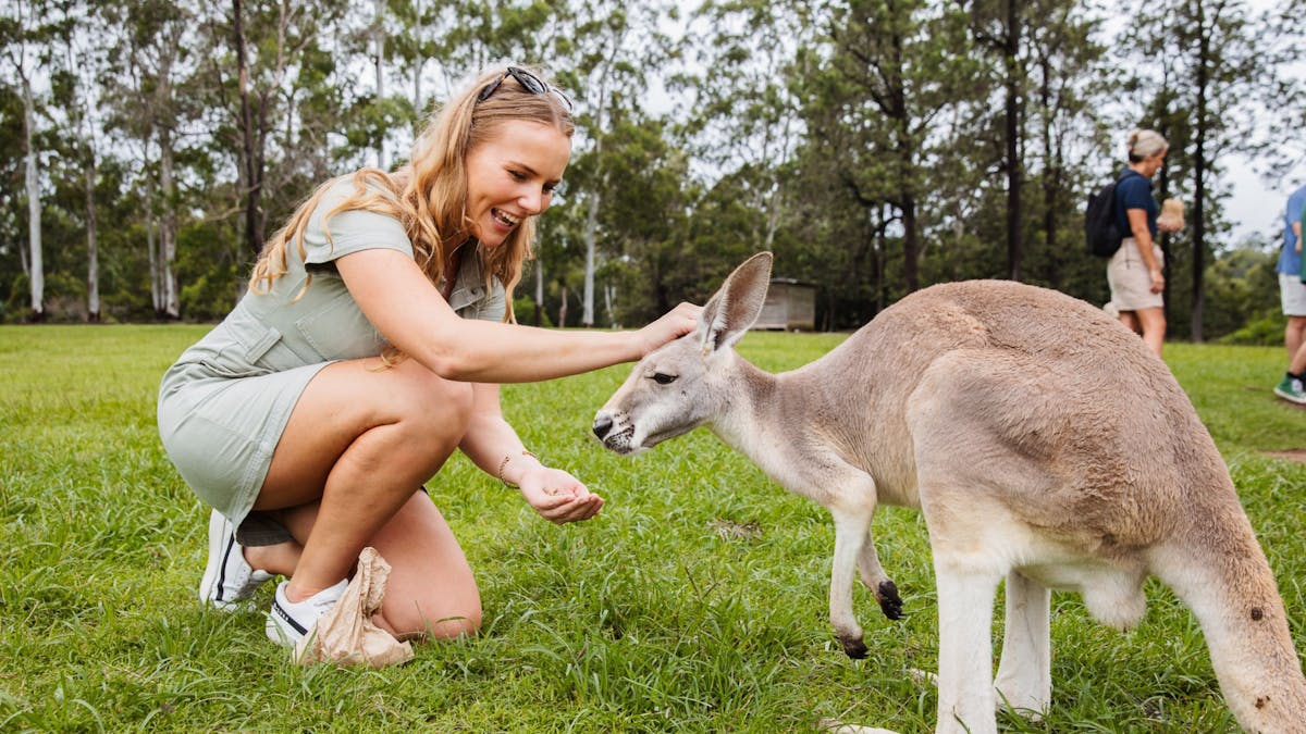 Brisbane wildlife experiences