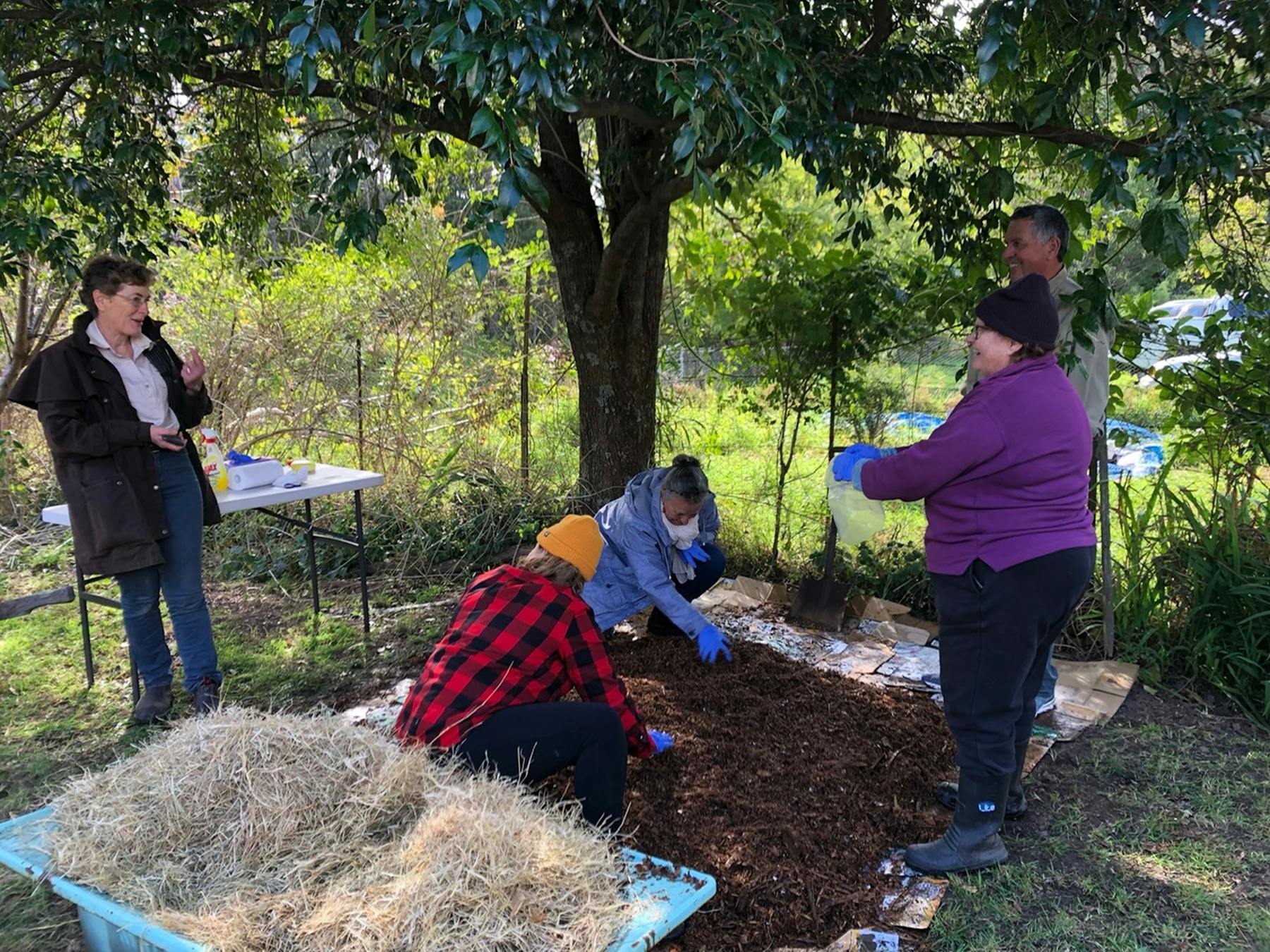 Learn to grow your own mushrooms outdoors.