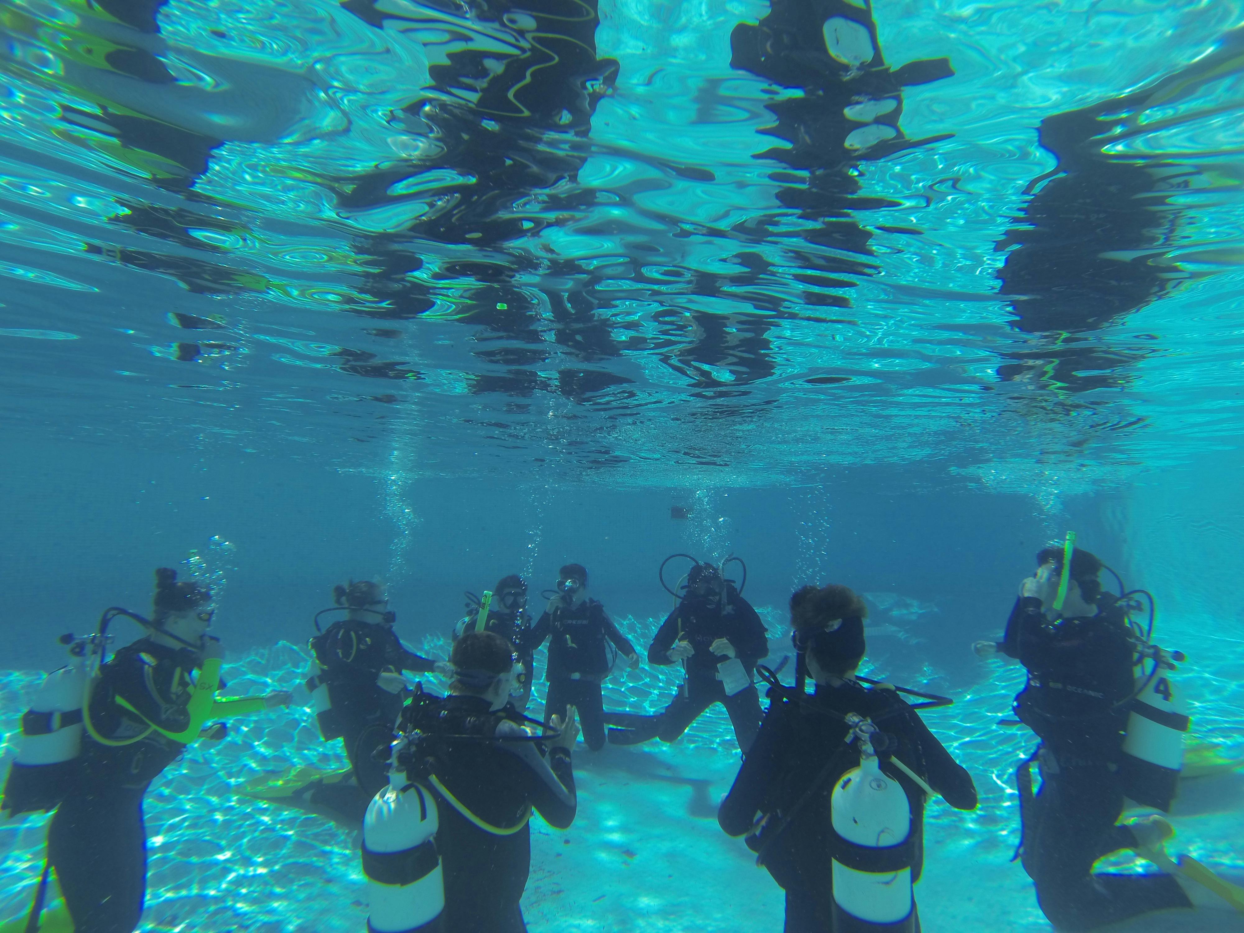 Dive training