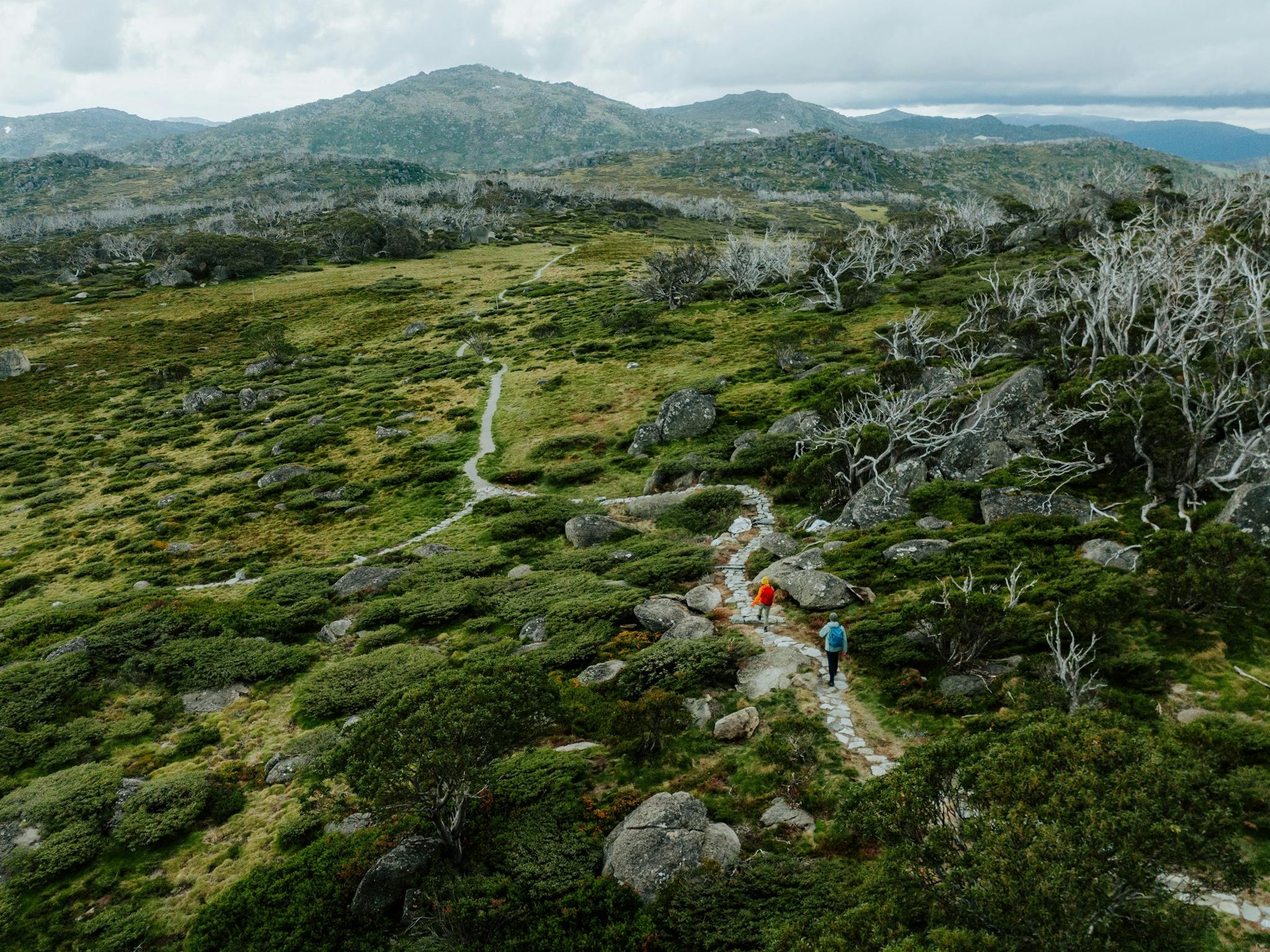 Two people walking from Charlotte Pass Village to Perisher Valley on the Snowies Alpine Walk.