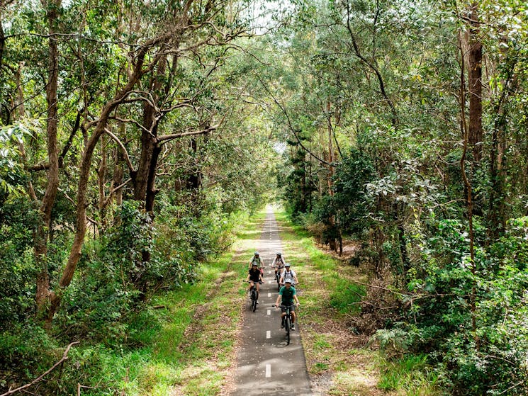A group of cyclists on E Bikes shote head on cruising through a nature reserve in the Hinterland.
