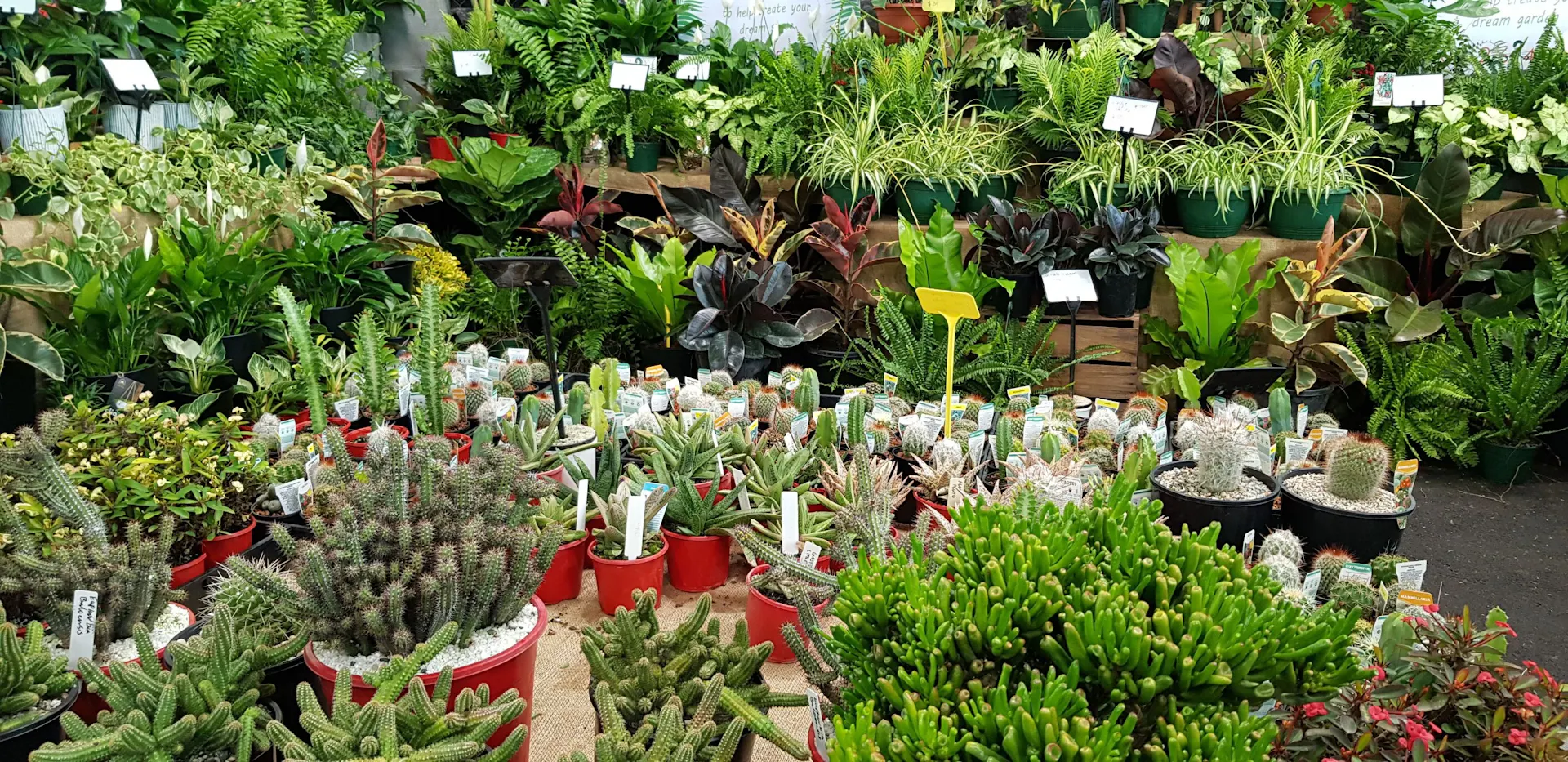 2021 Queensland Garden Expo