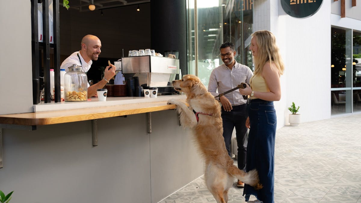Dog with couple at ARTE