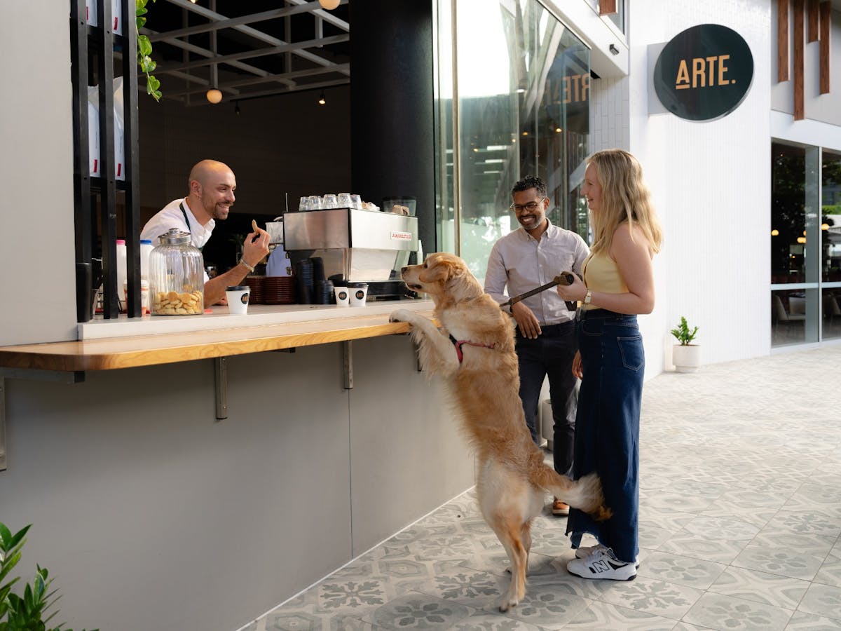Dog with couple at ARTE